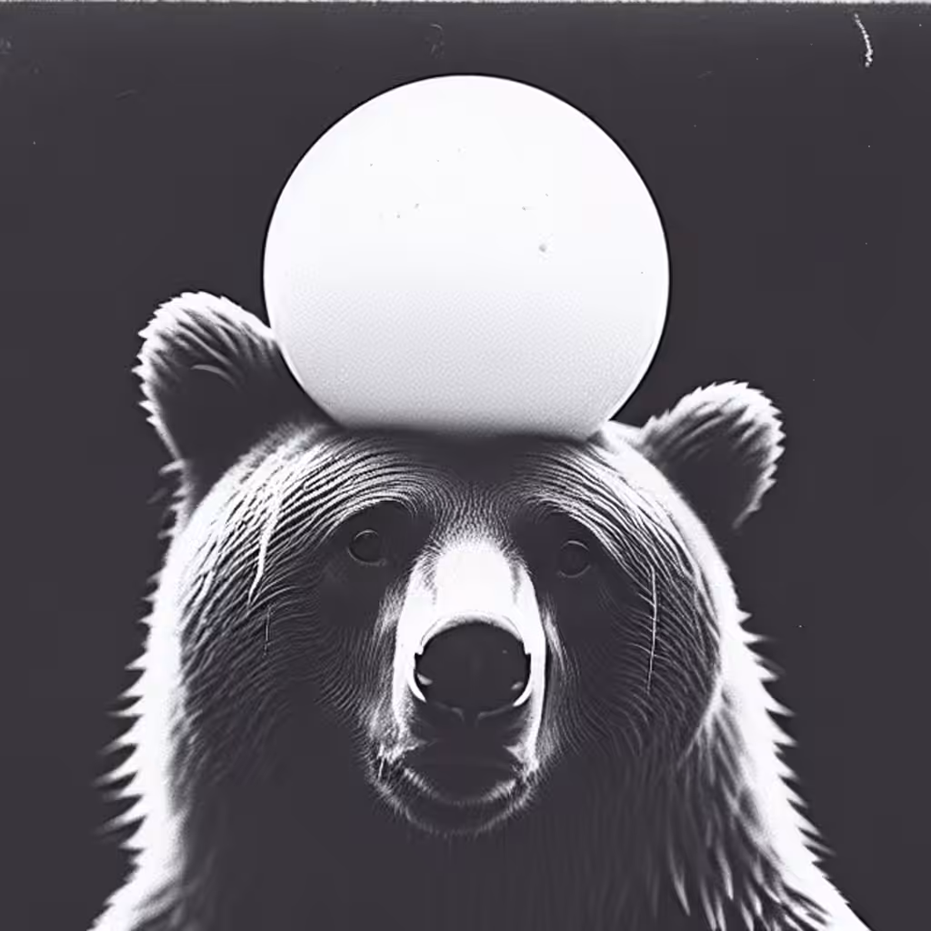 What's the Matter Bear?