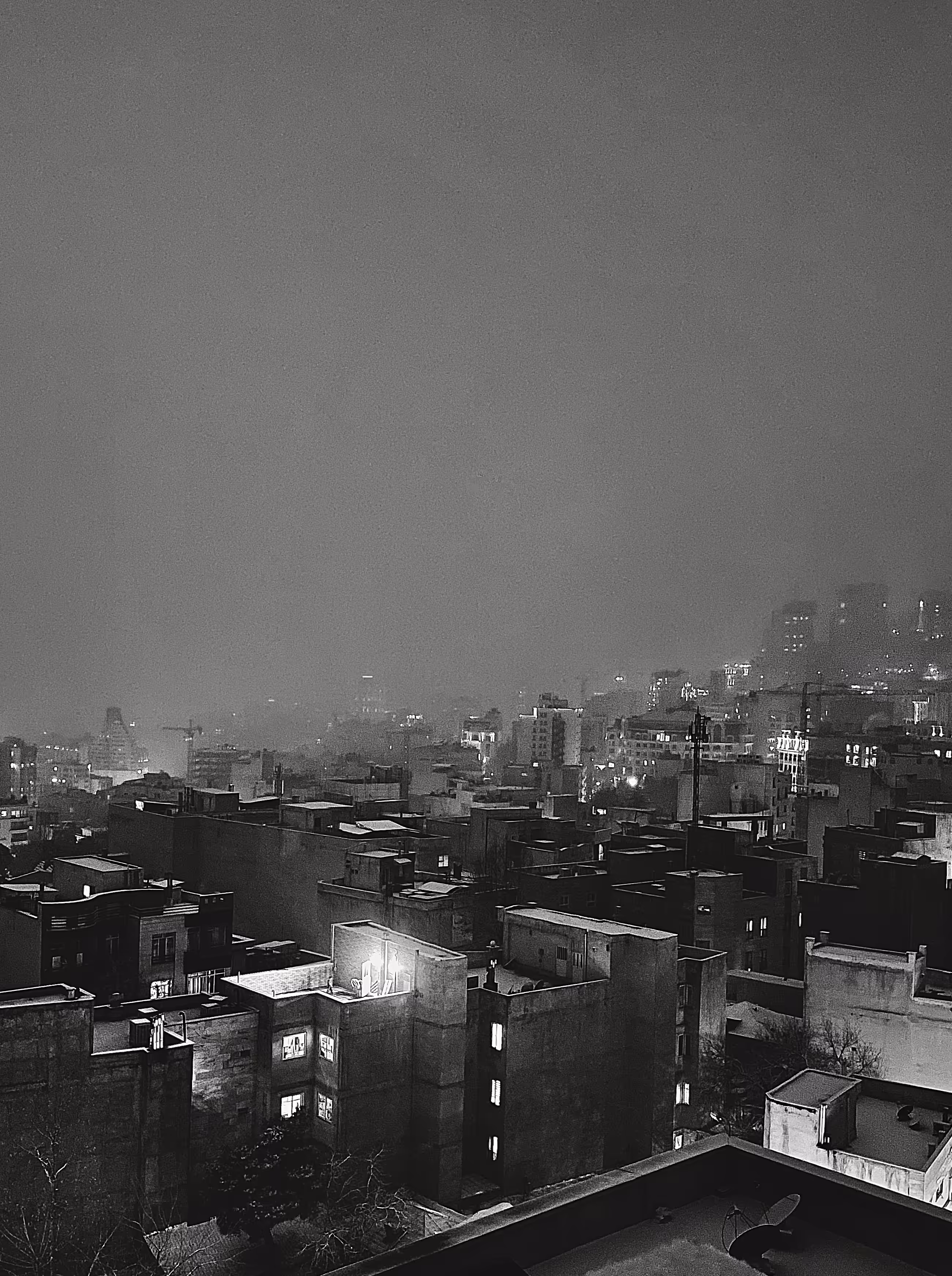 The fog
