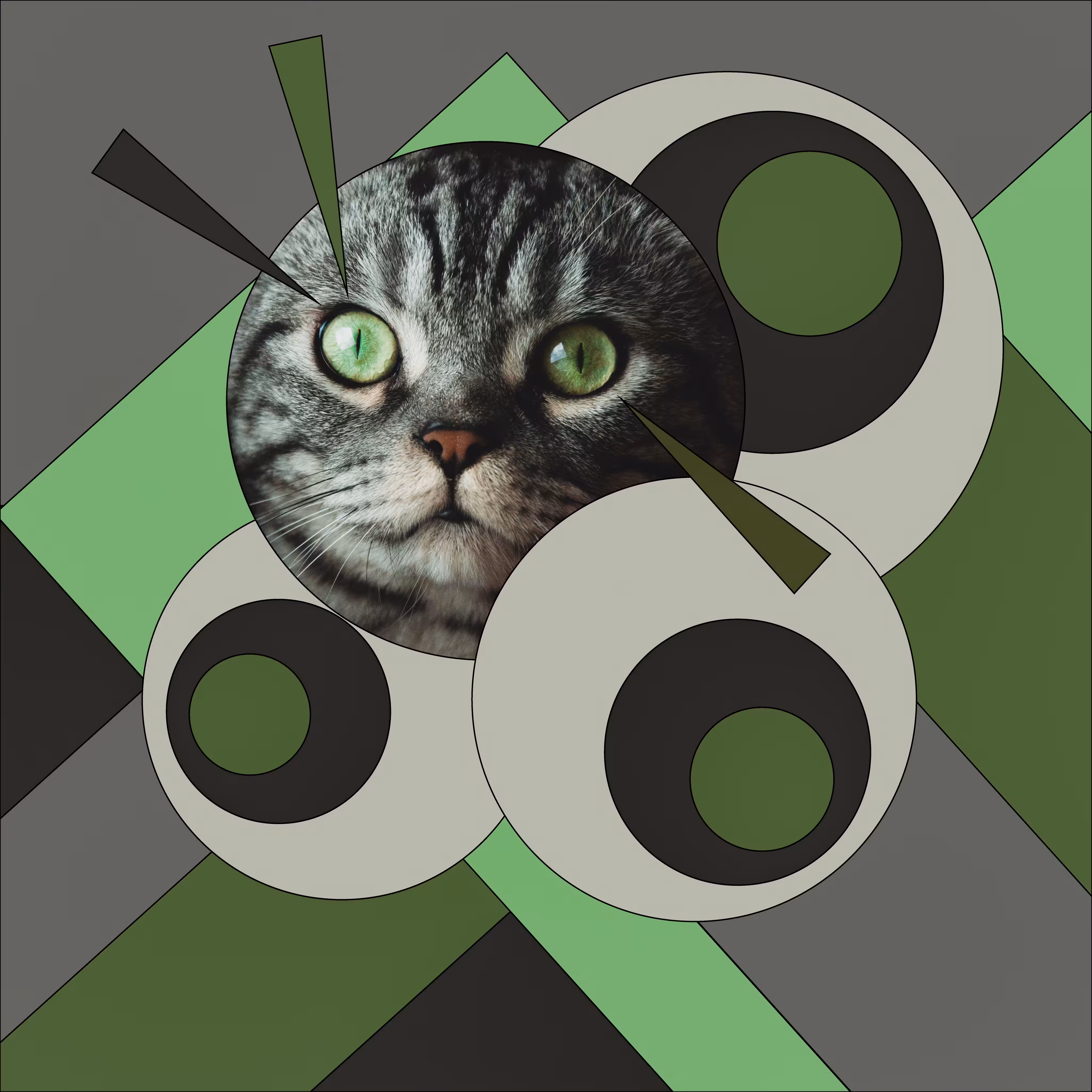 Watchful Cat