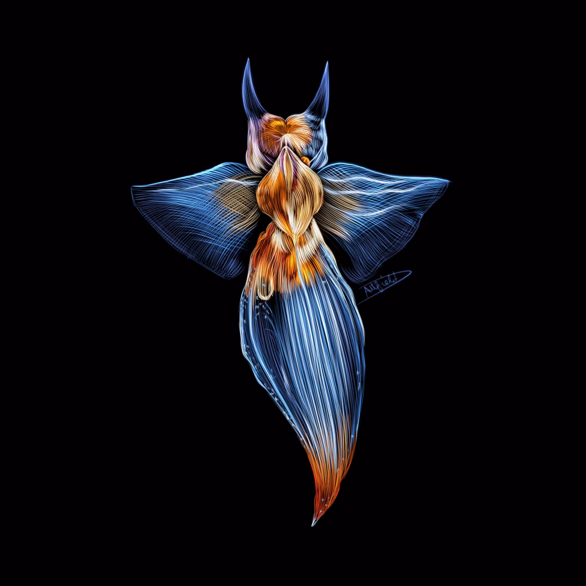 Nature Studies: Sea Angel