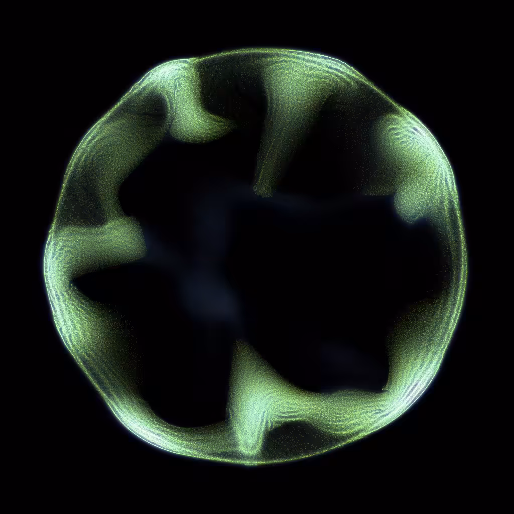 PETRI #35