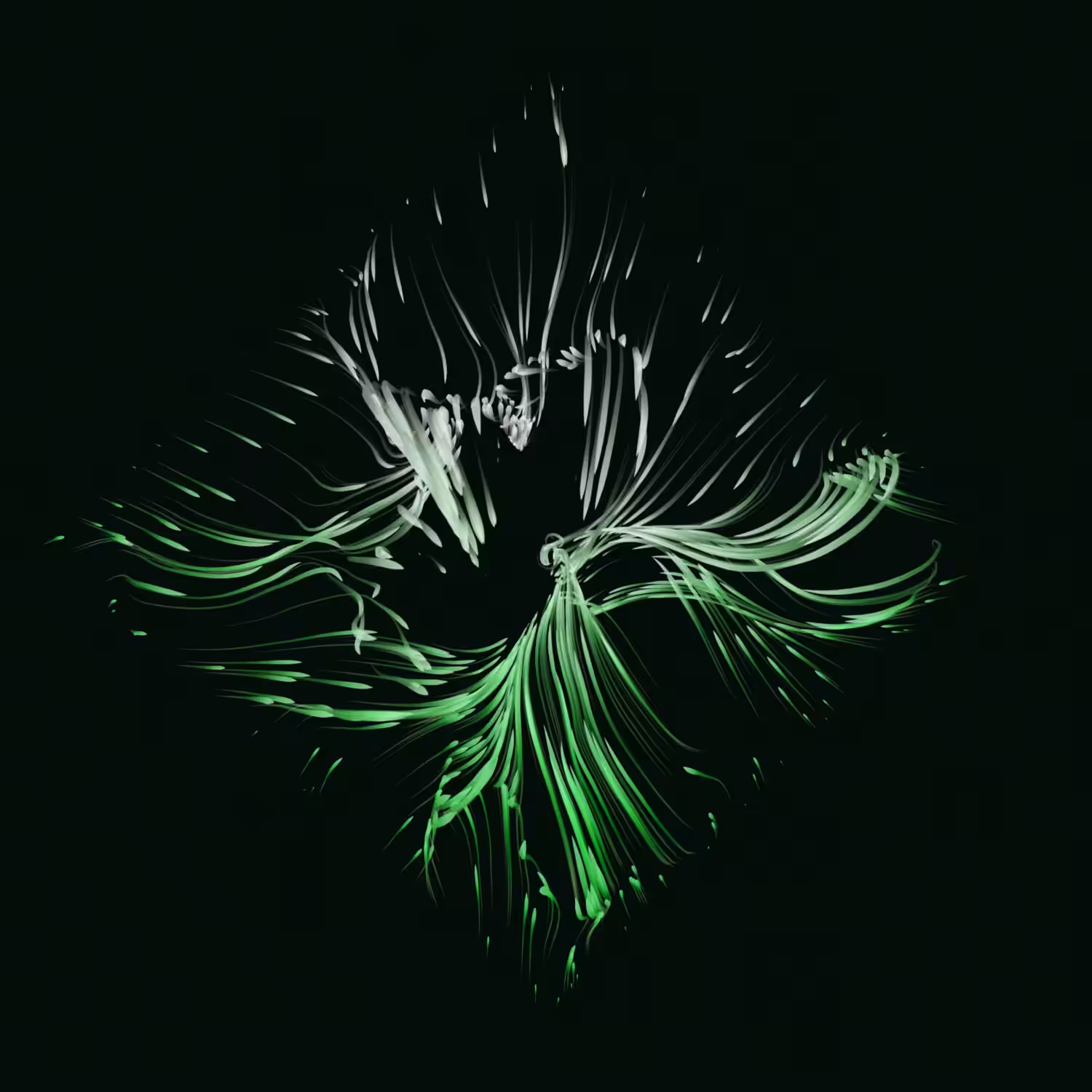 Vortex #114