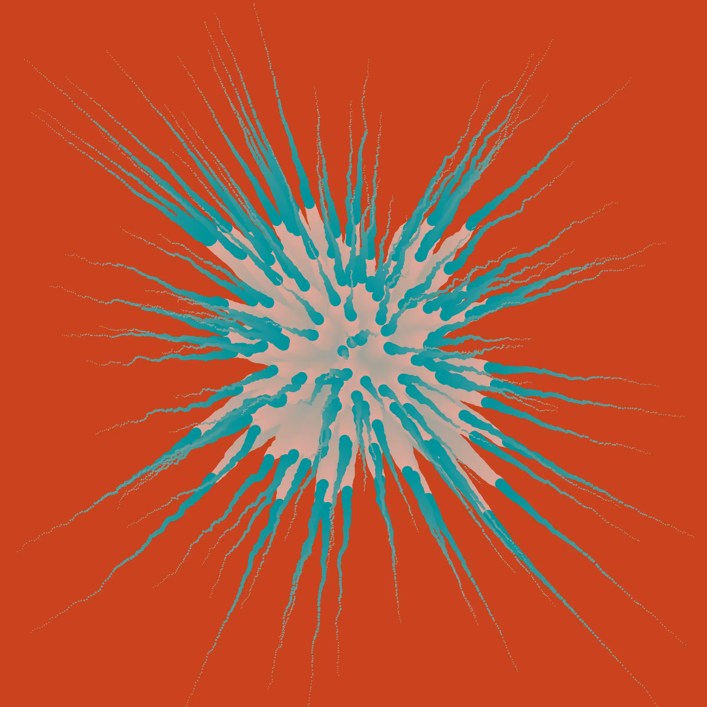 Star Flower #561