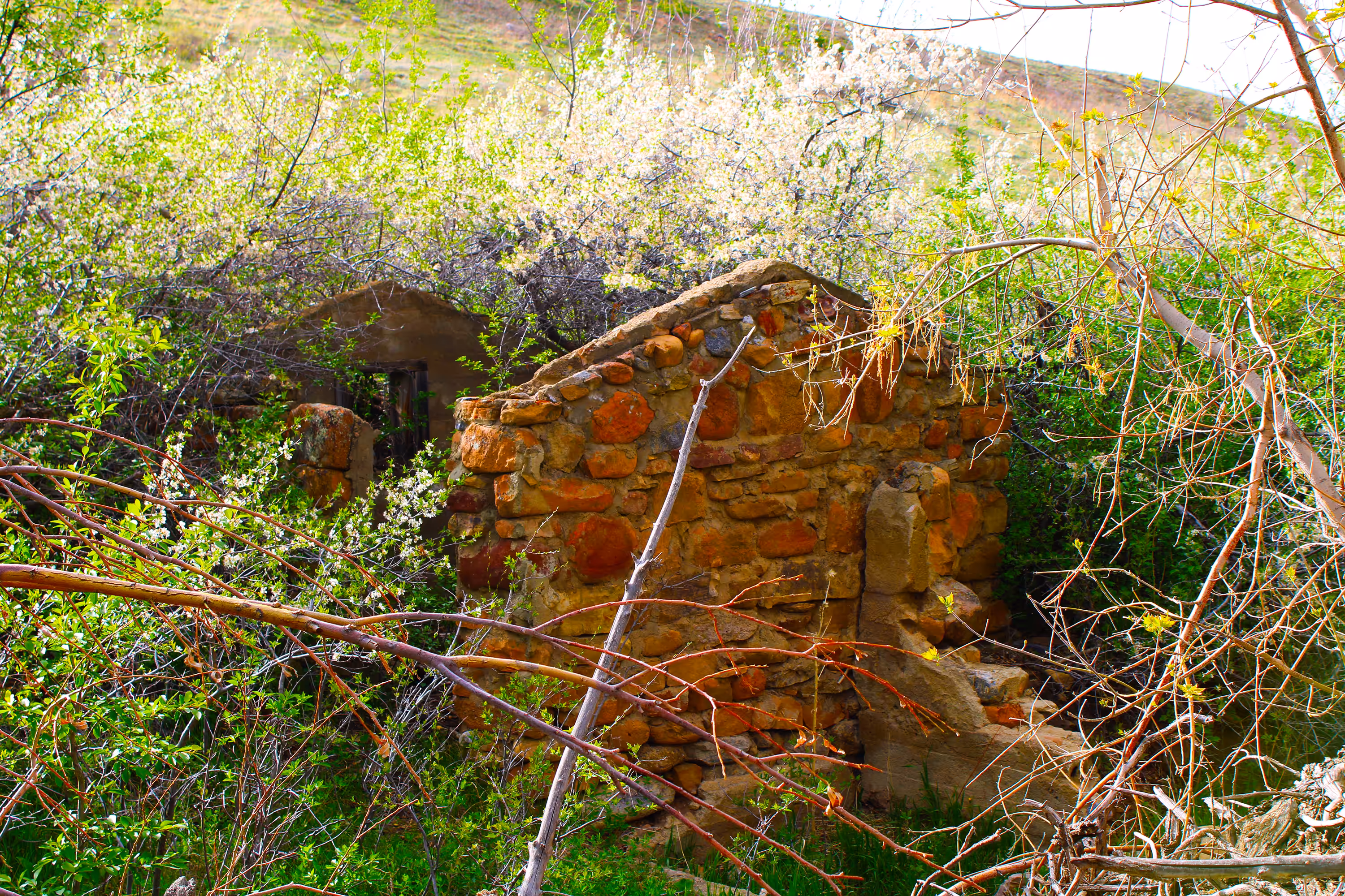 Photo Gardens: Hidden dwelling