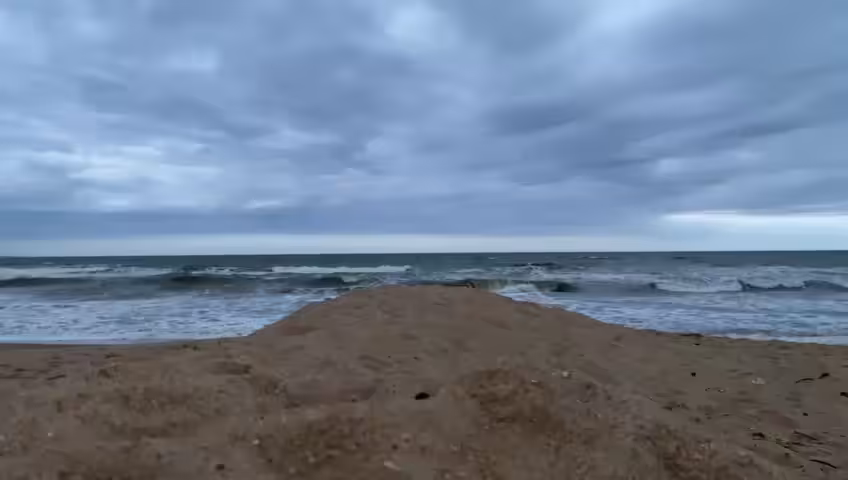 Horizon