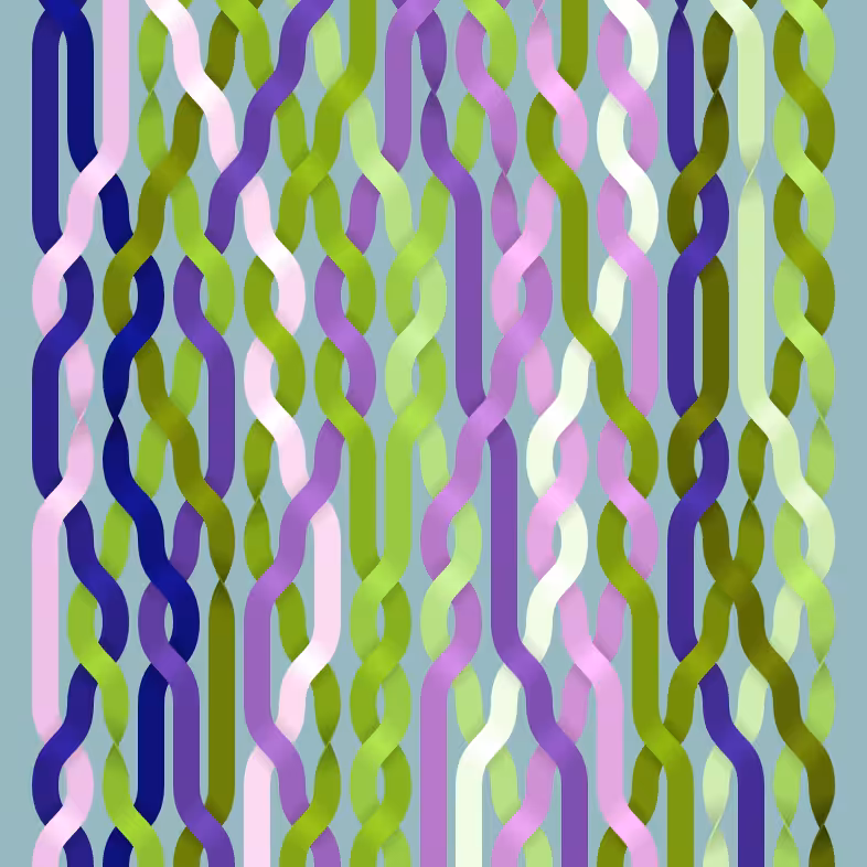 Endless Braids #37