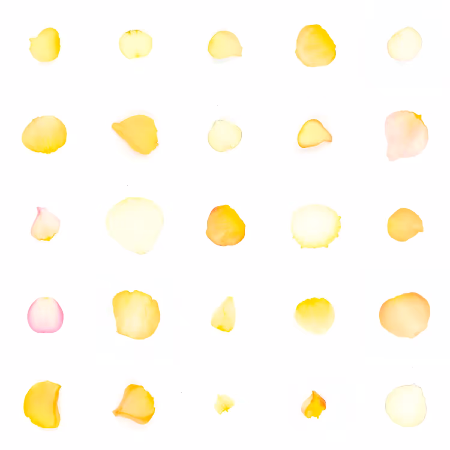 Infinite Petals 5x5#20586