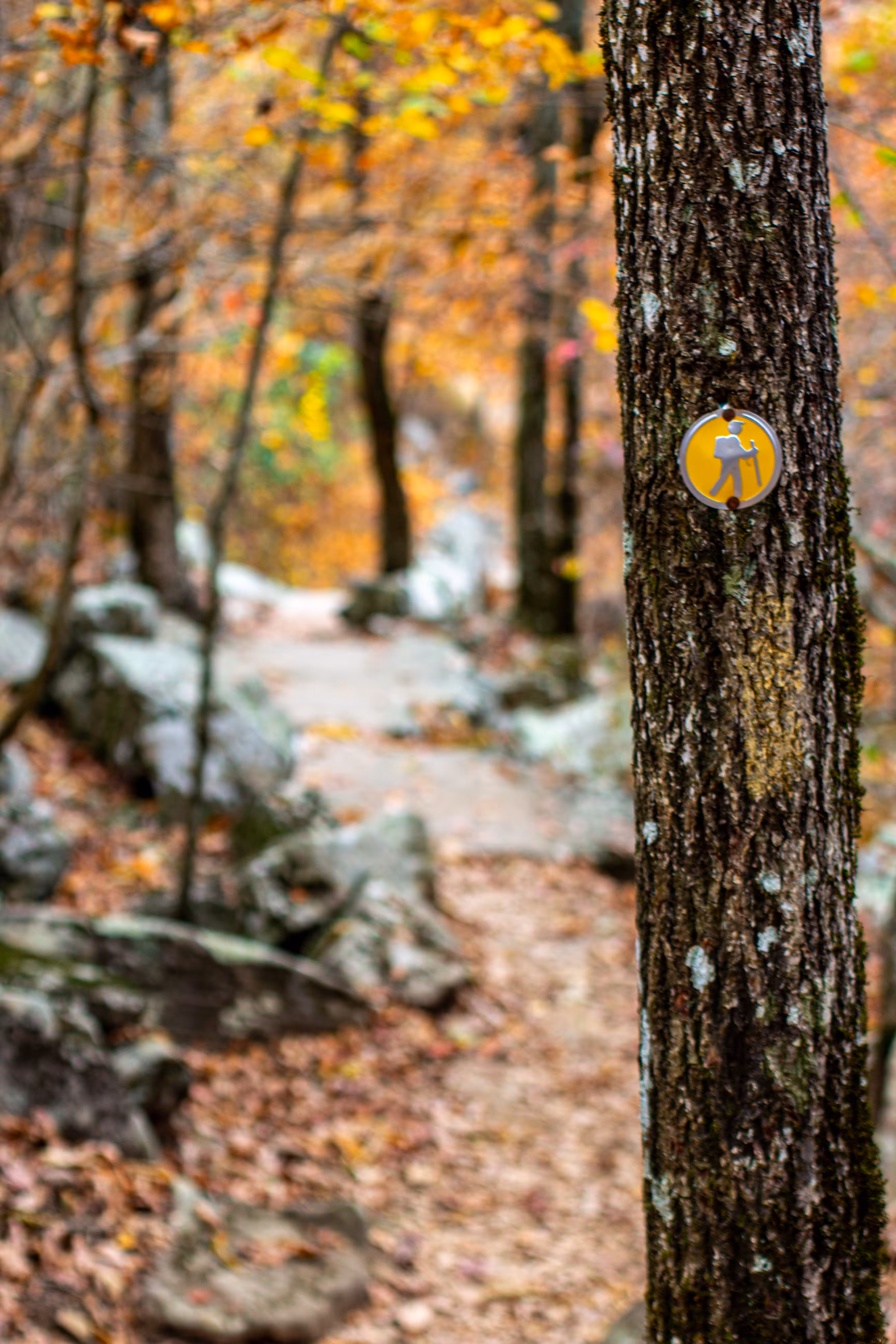 Hidden Trails
