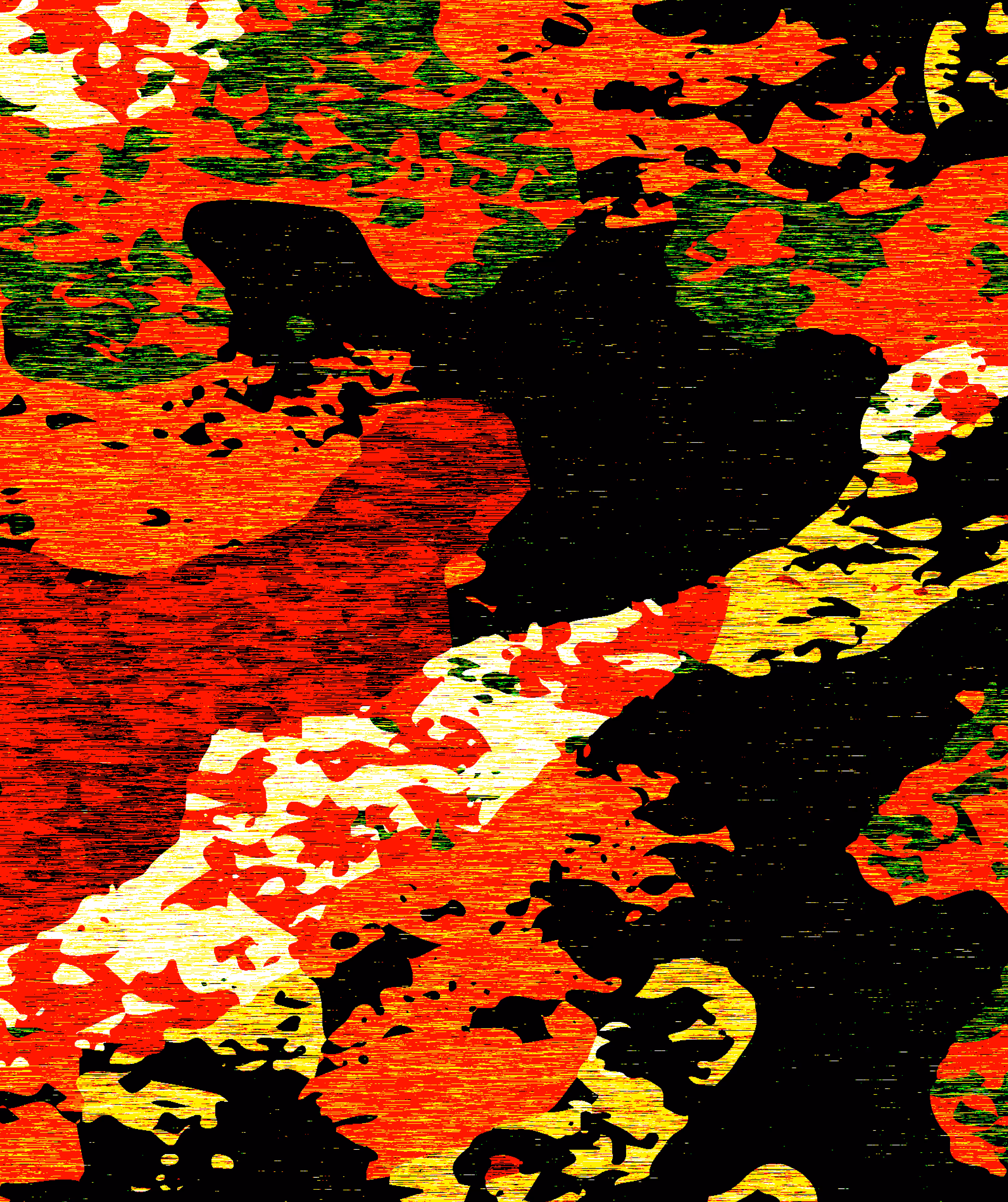 en_FuEGO