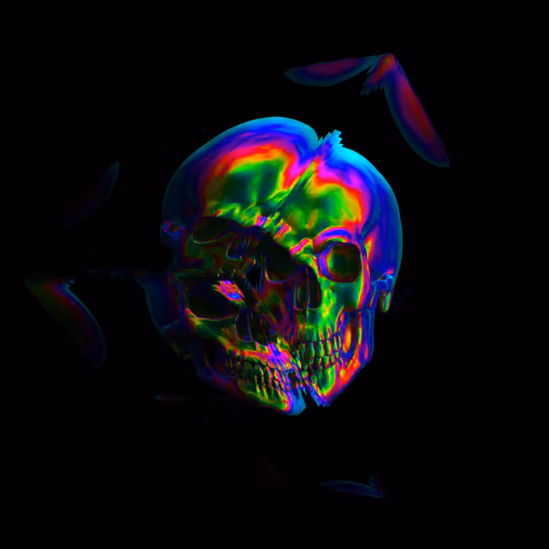 Skull Box Collection #46