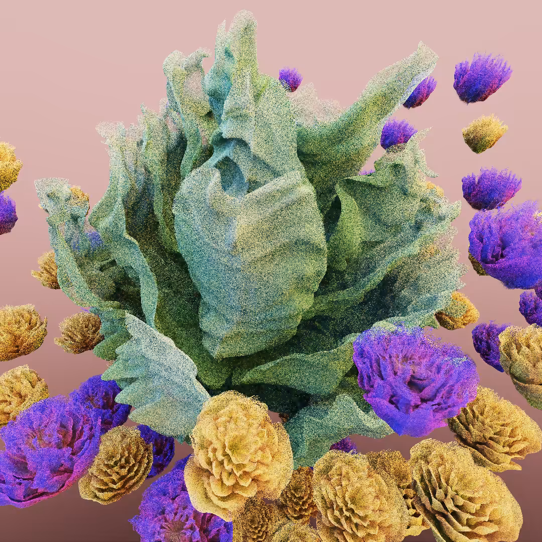 rosarium #11