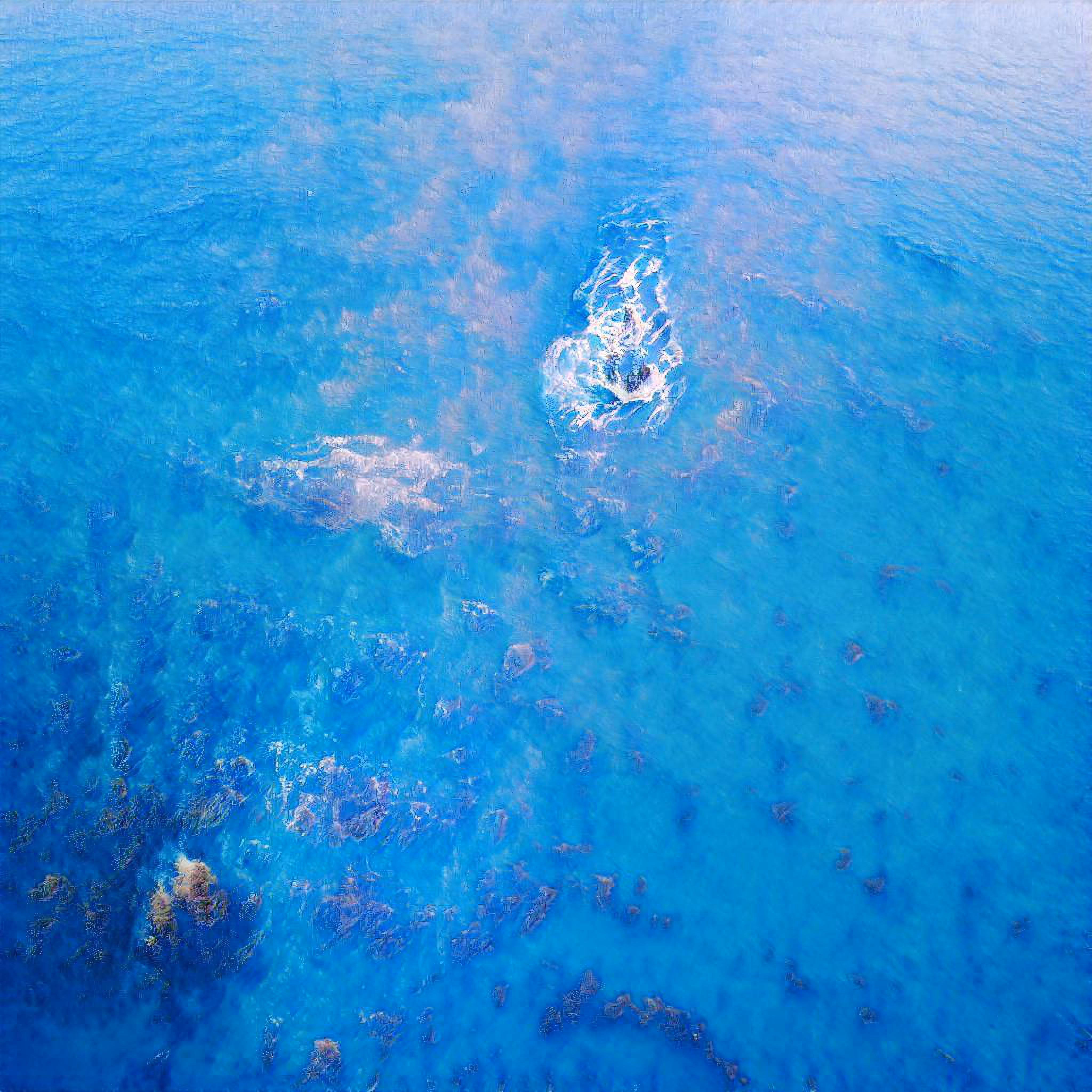 Ocean Dreams