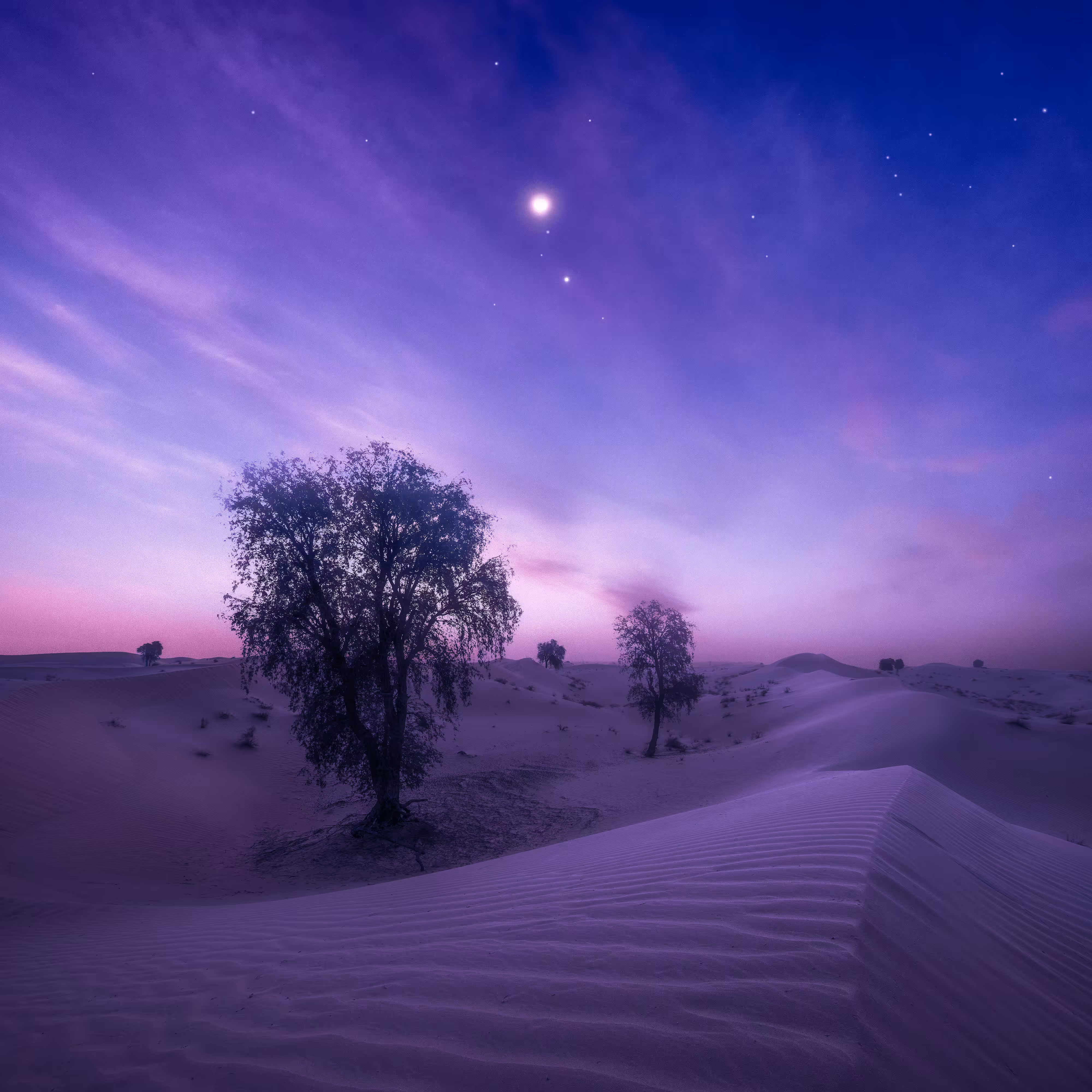 UAE Desertscapes- 38