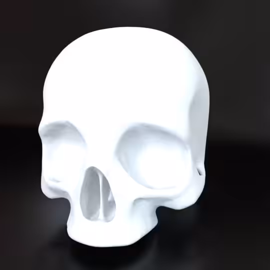 SkullZ #89