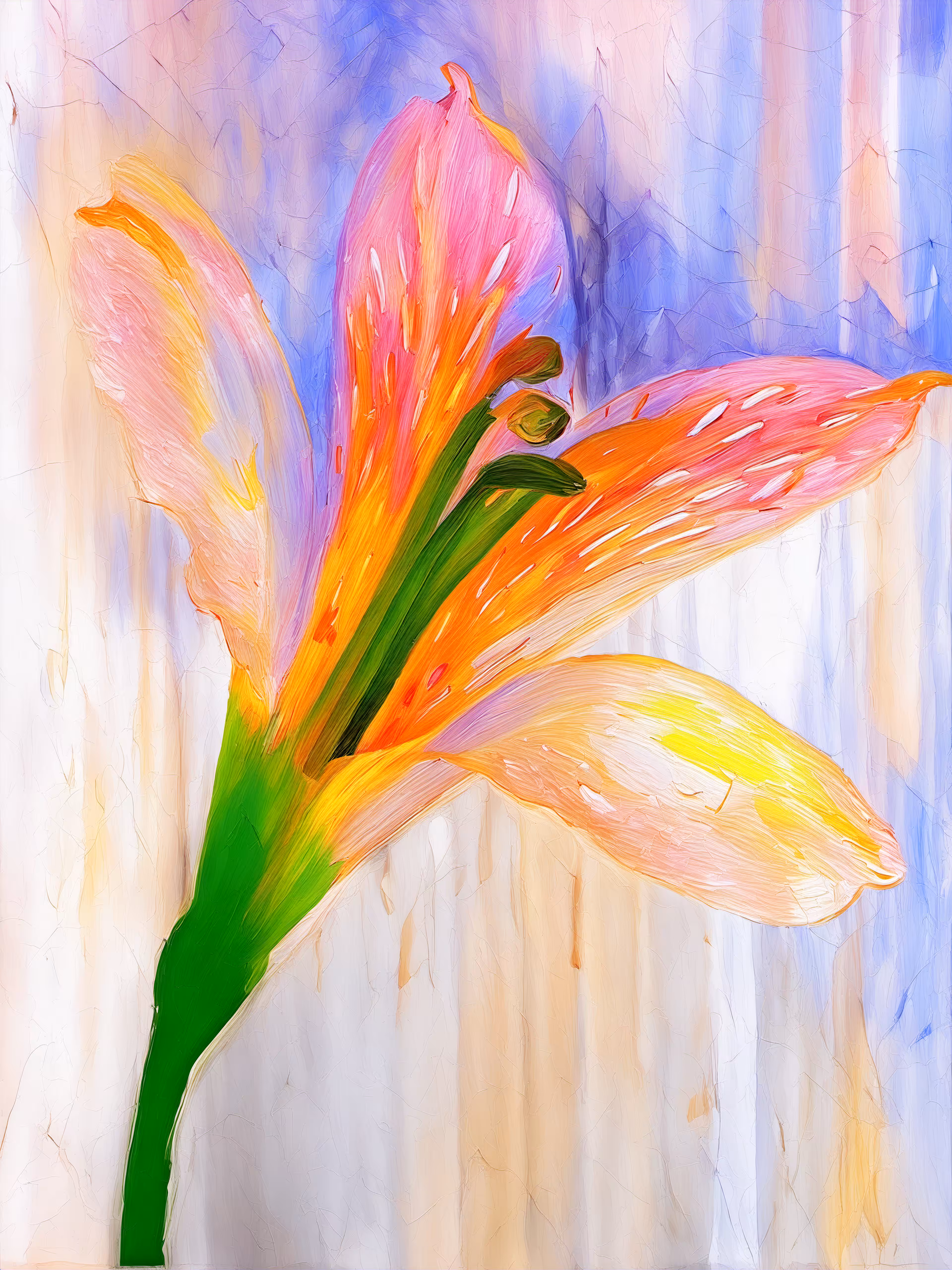 Lilium