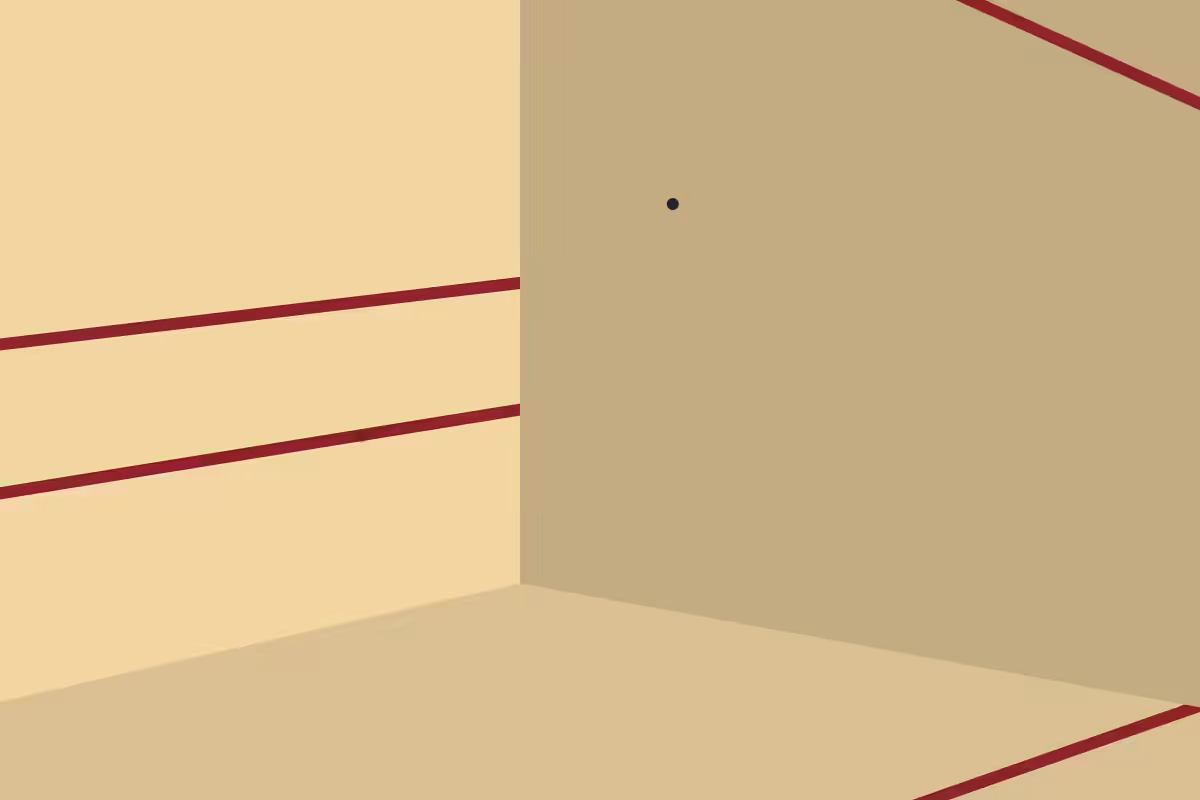 Squash #6