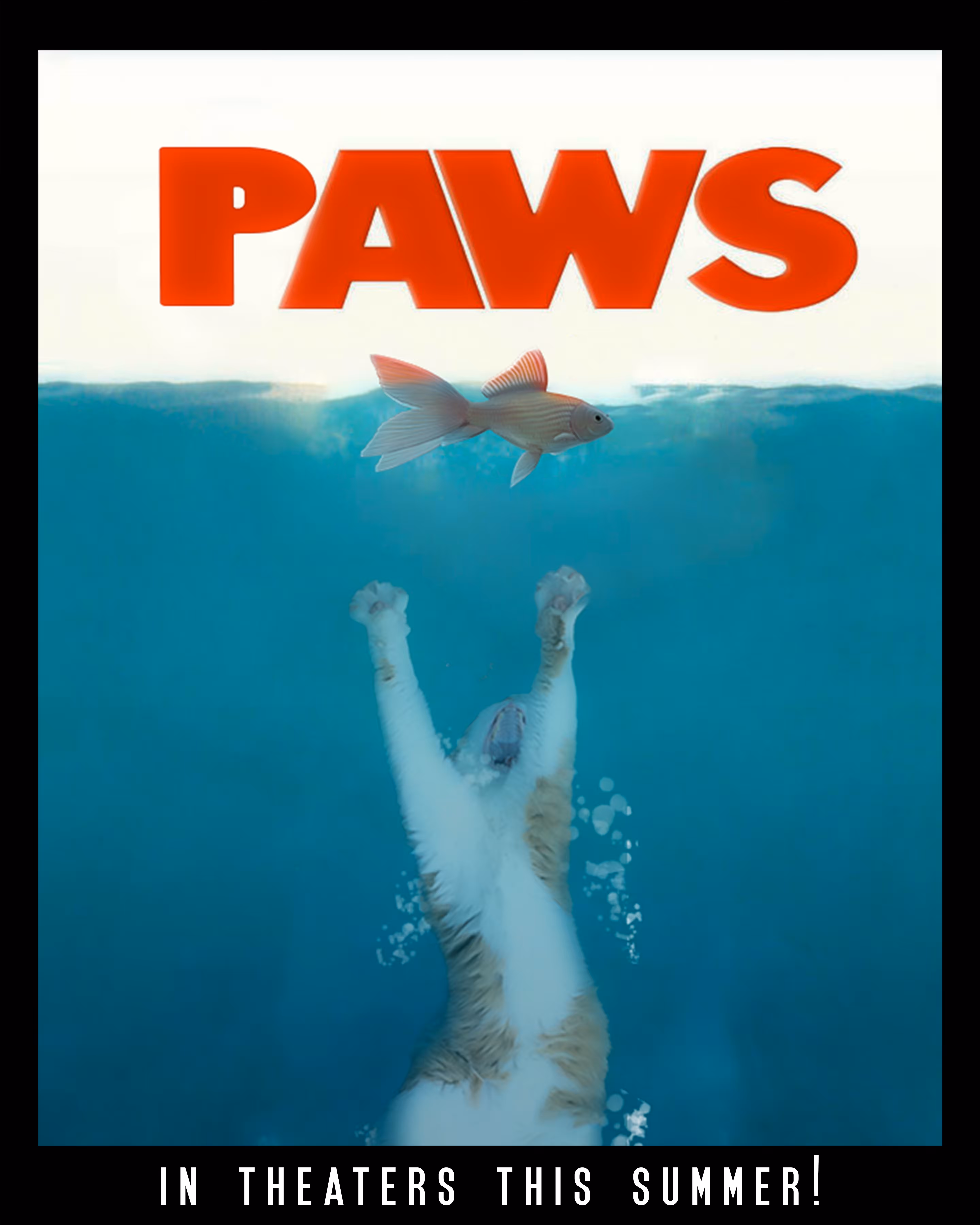 PAWS
