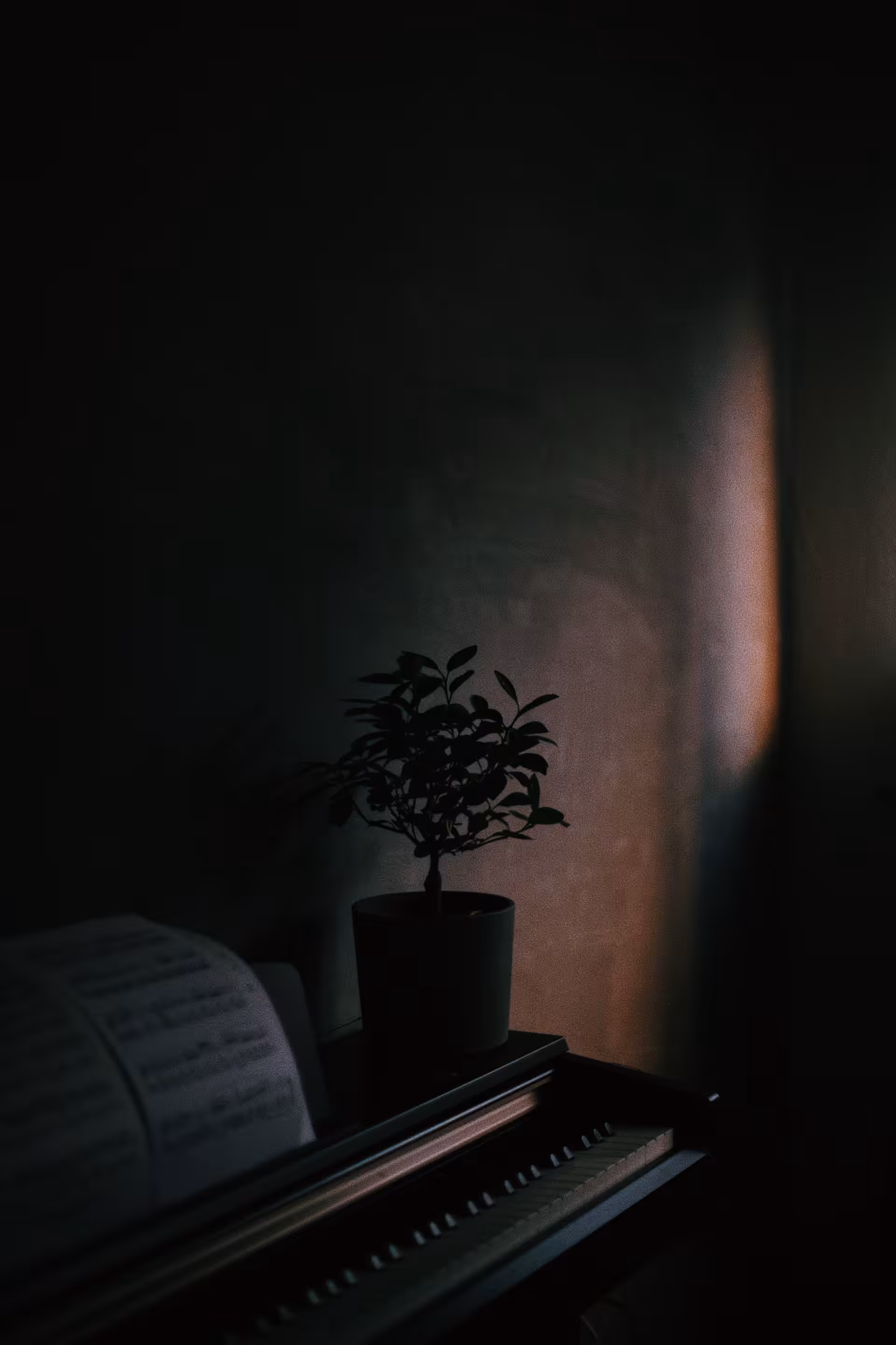 silent