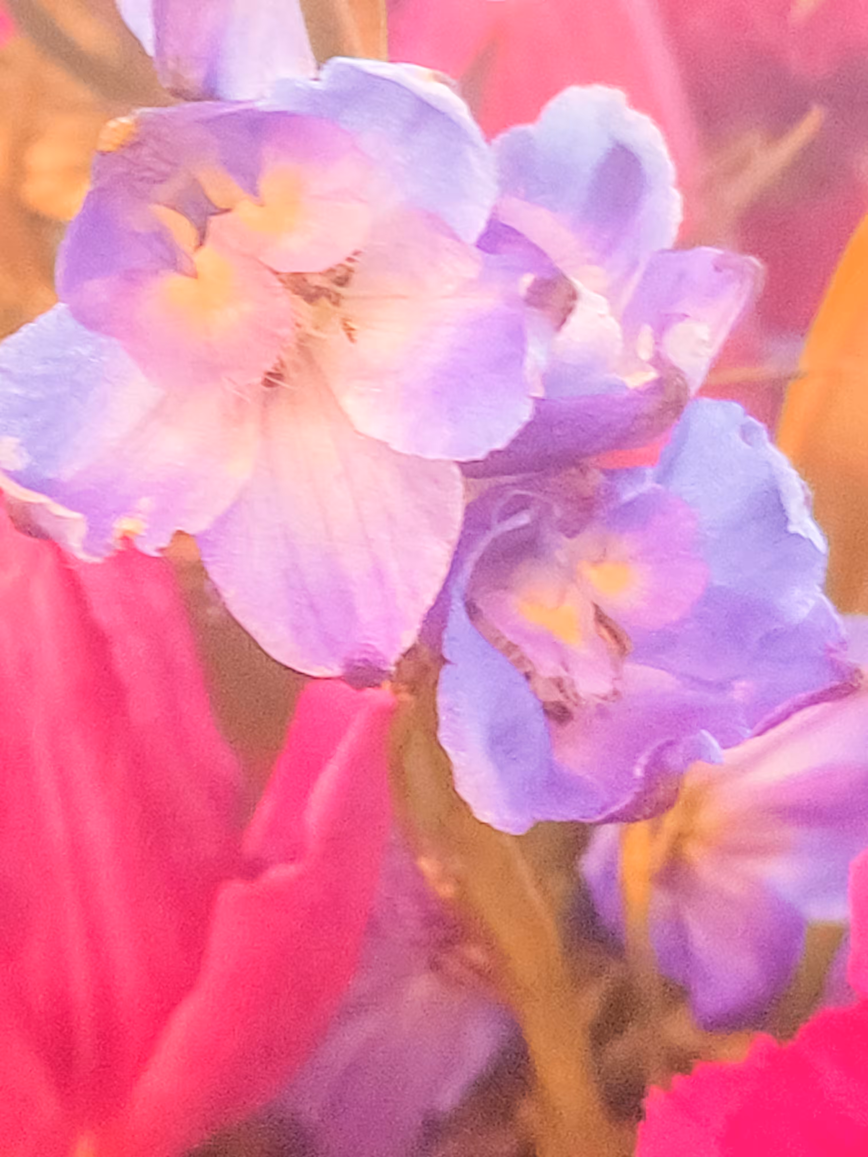 Birthday Flowers