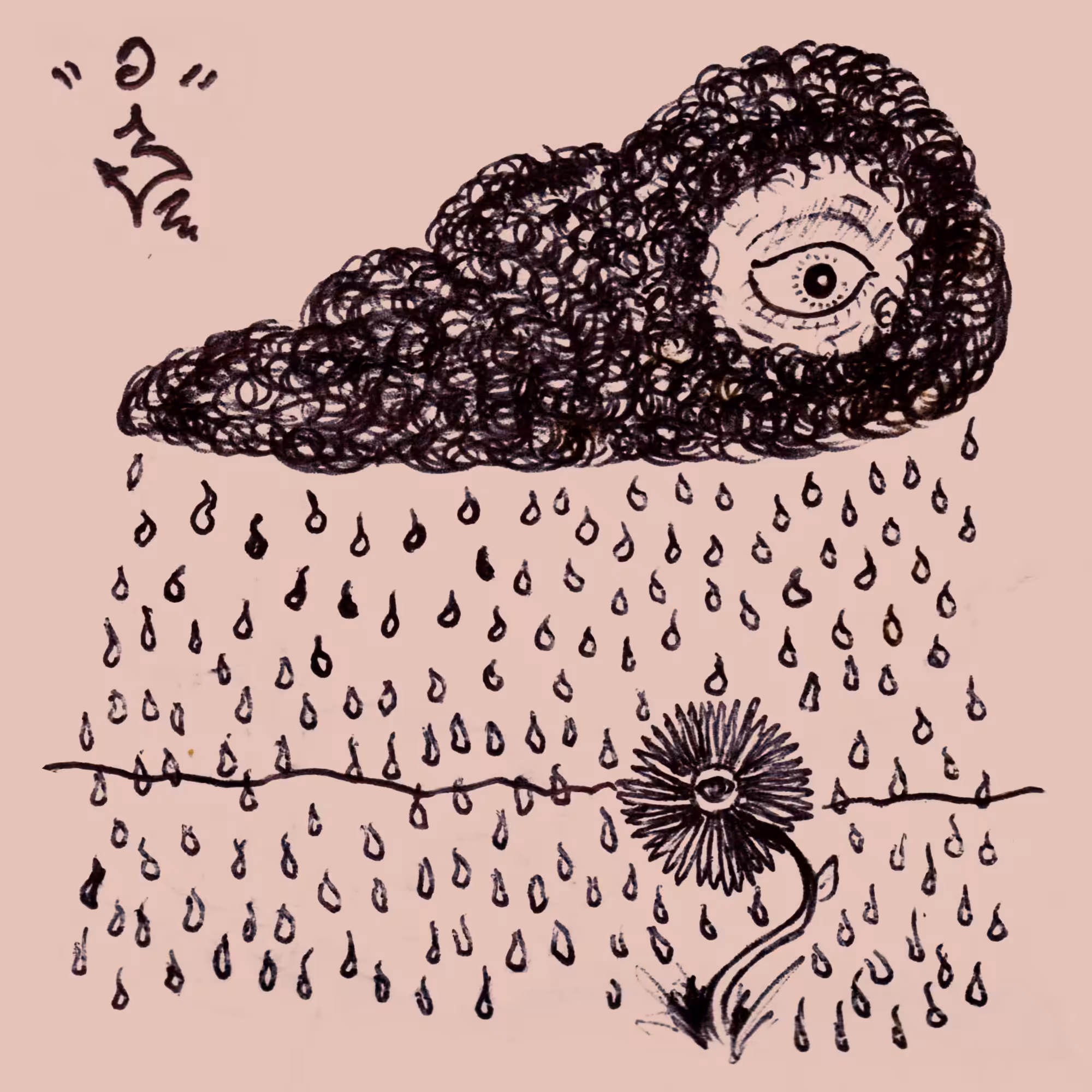 ABUNDANCIA