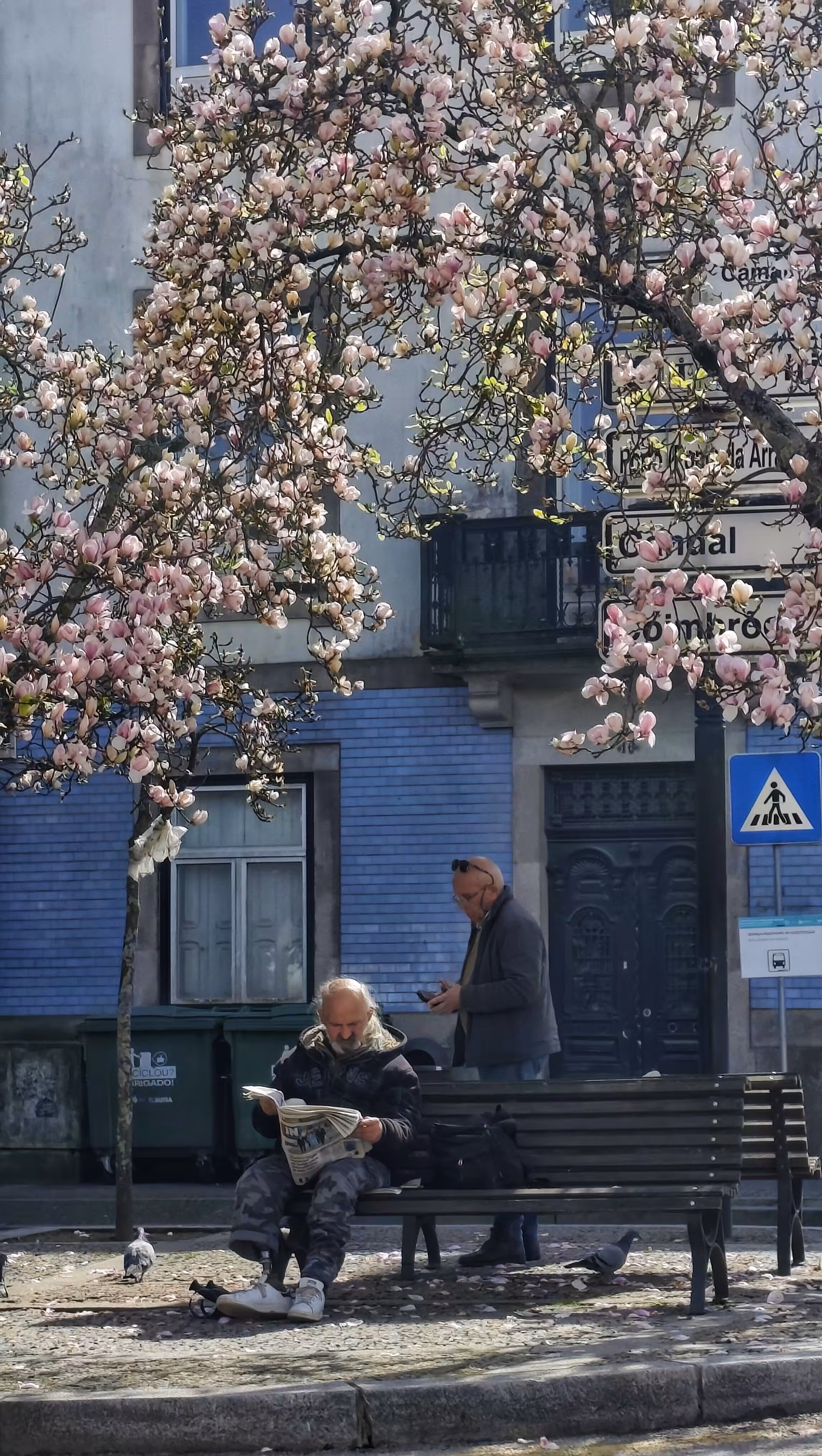 Moments of spring 