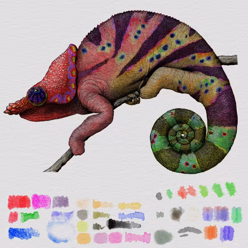 Colorful Cameleon #29