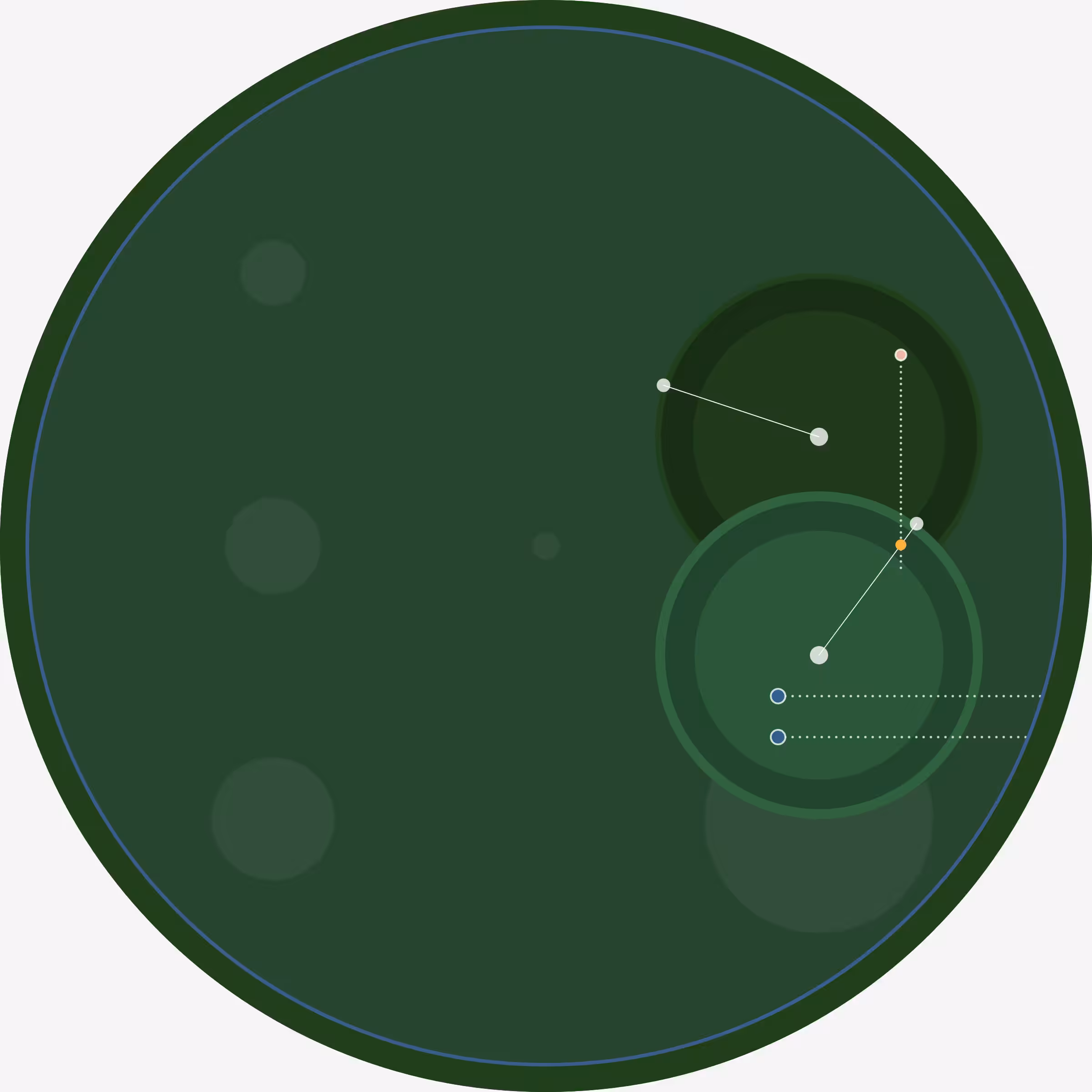 Good Vibrations #598