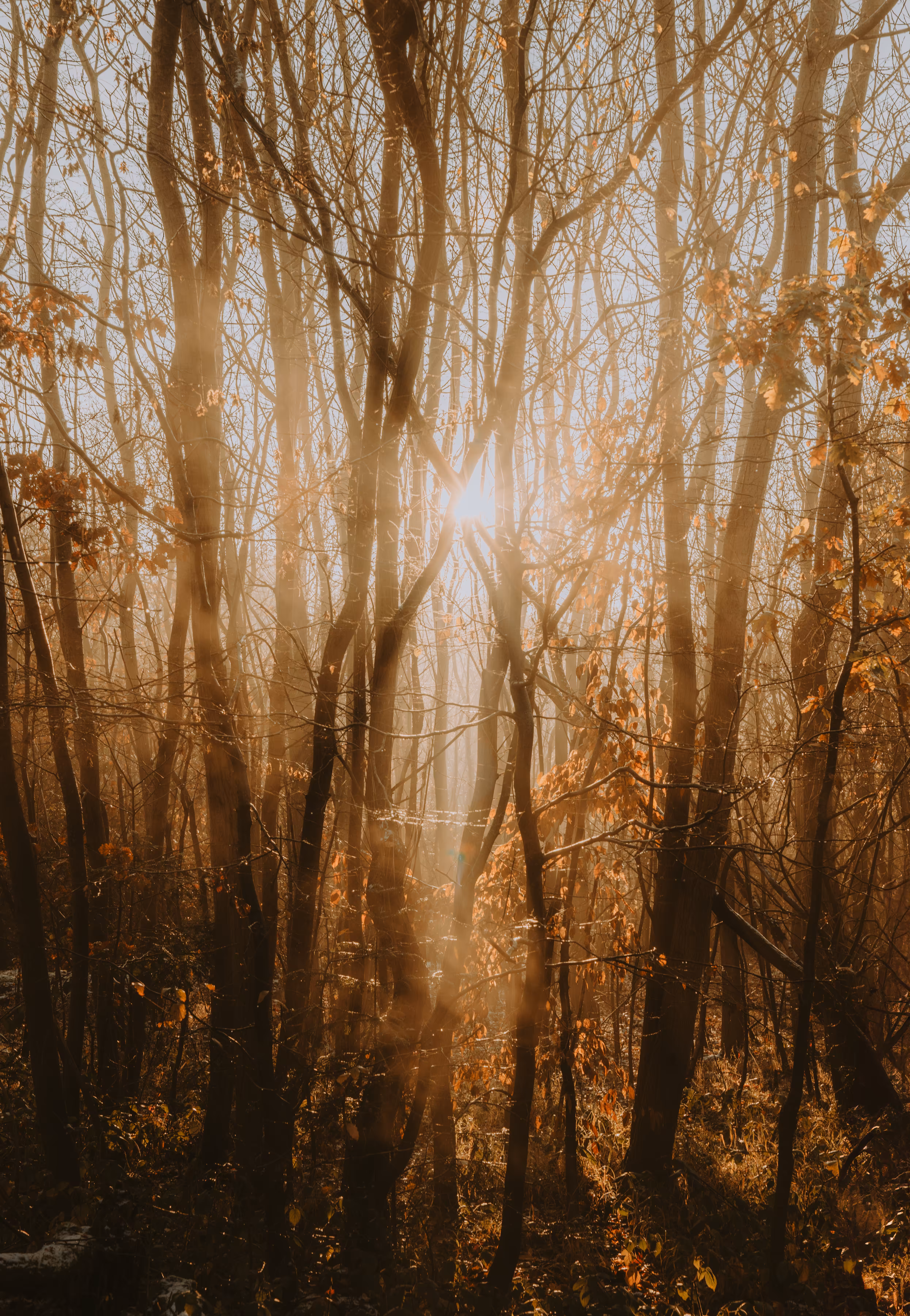 golden hour 