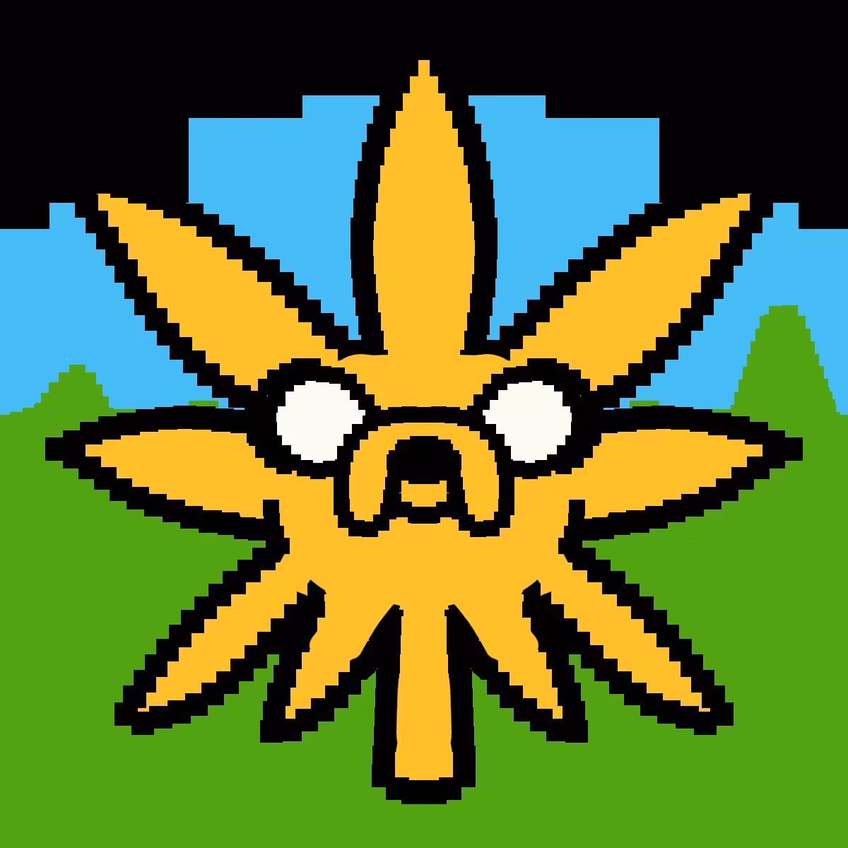 Jake The Sativa