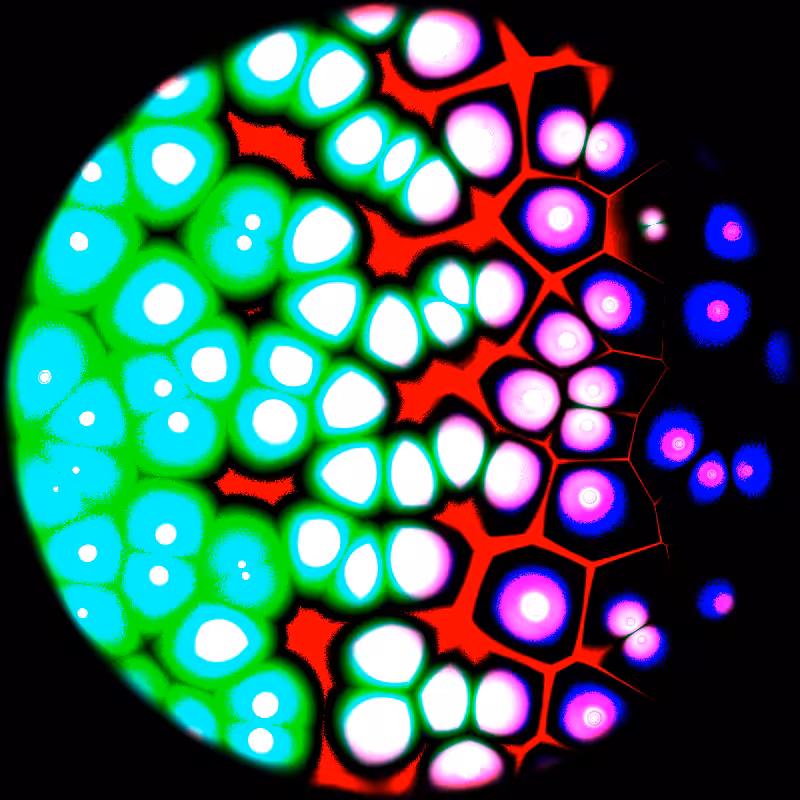 Motile #37