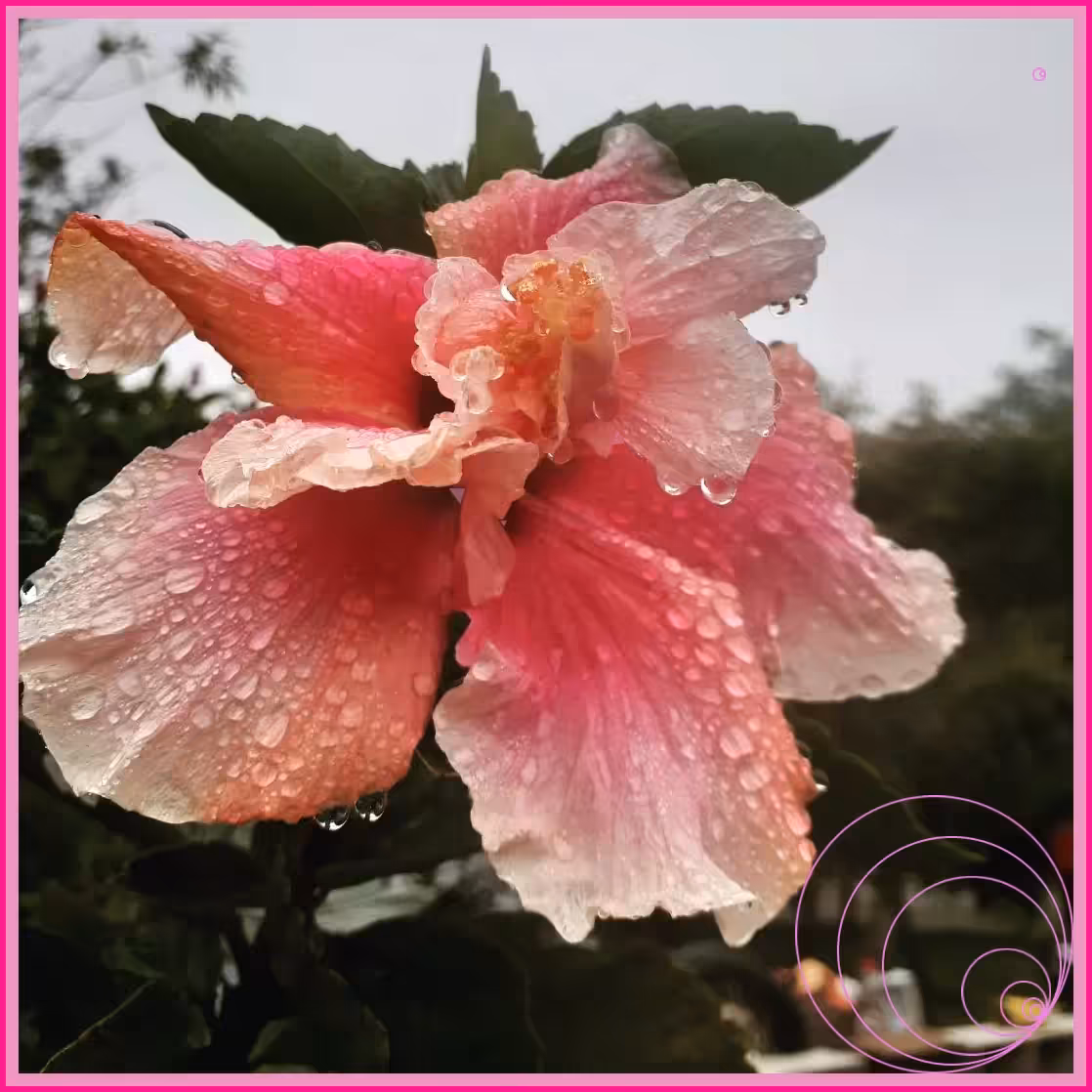 Flor Mística