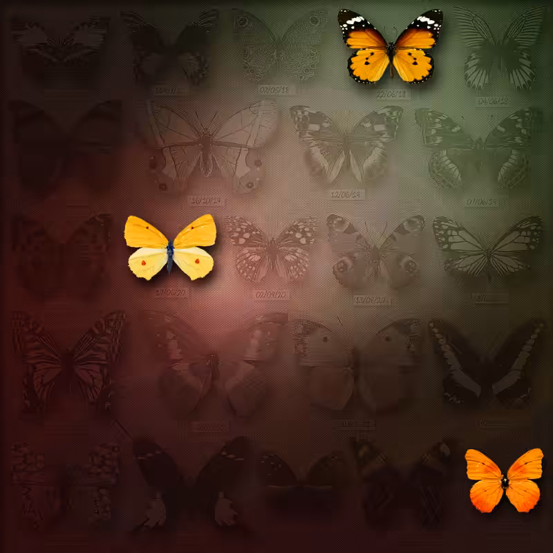 Save Butterfly World #41