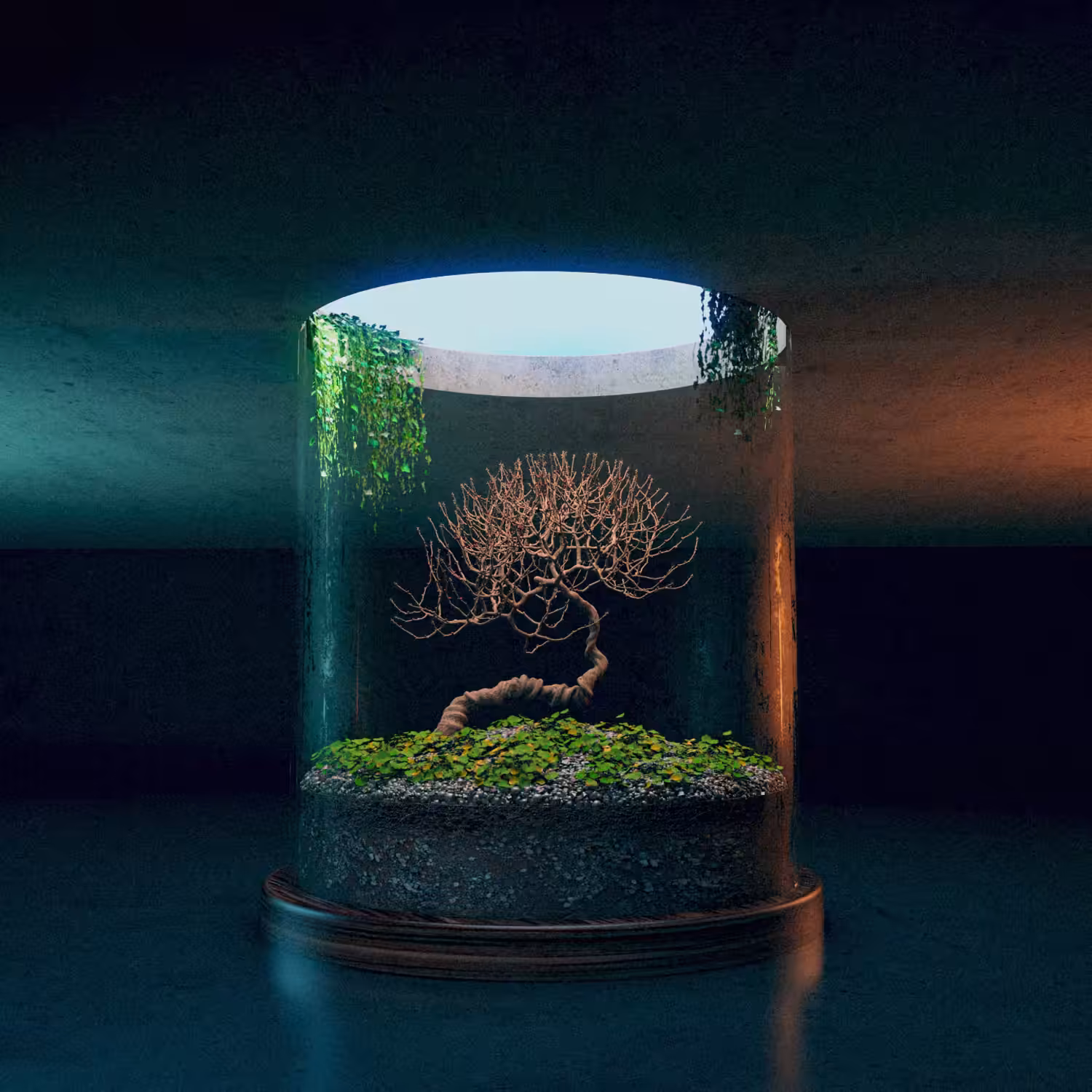 Terrarium Extraction