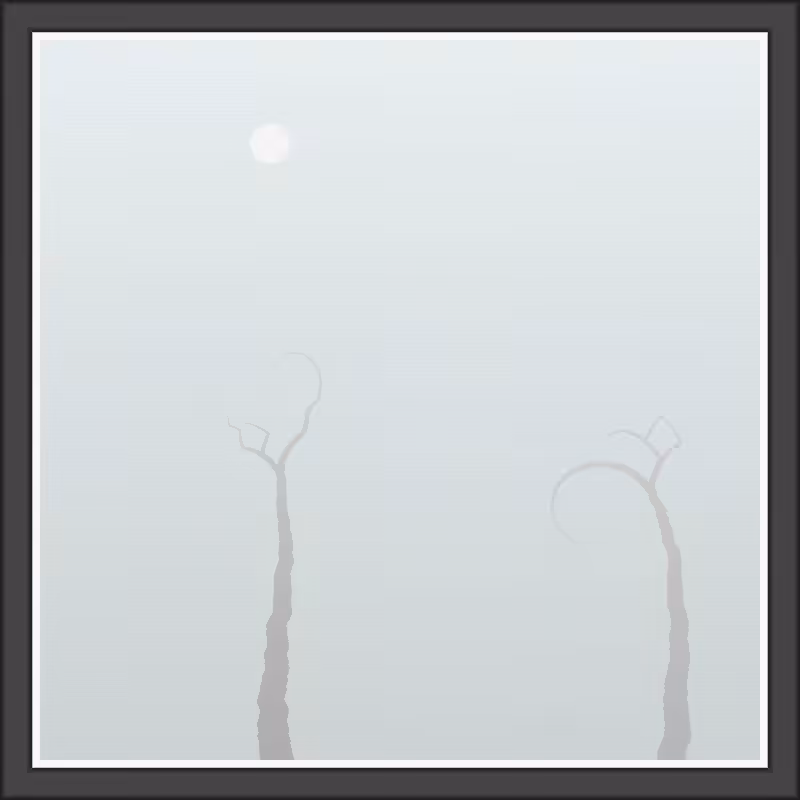 The Foggy Trees #104