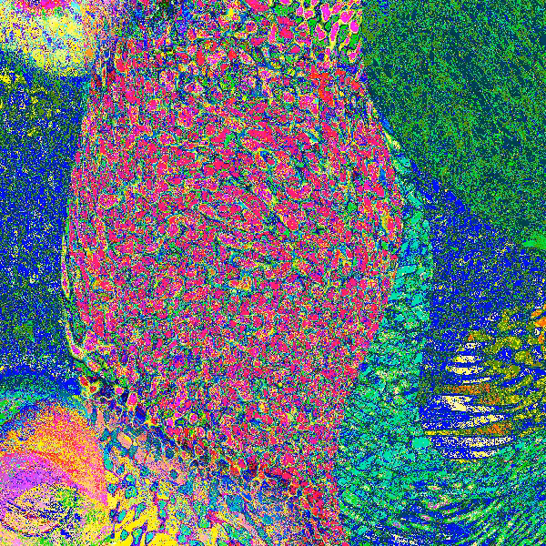 Einstein-Rosen Memories #34