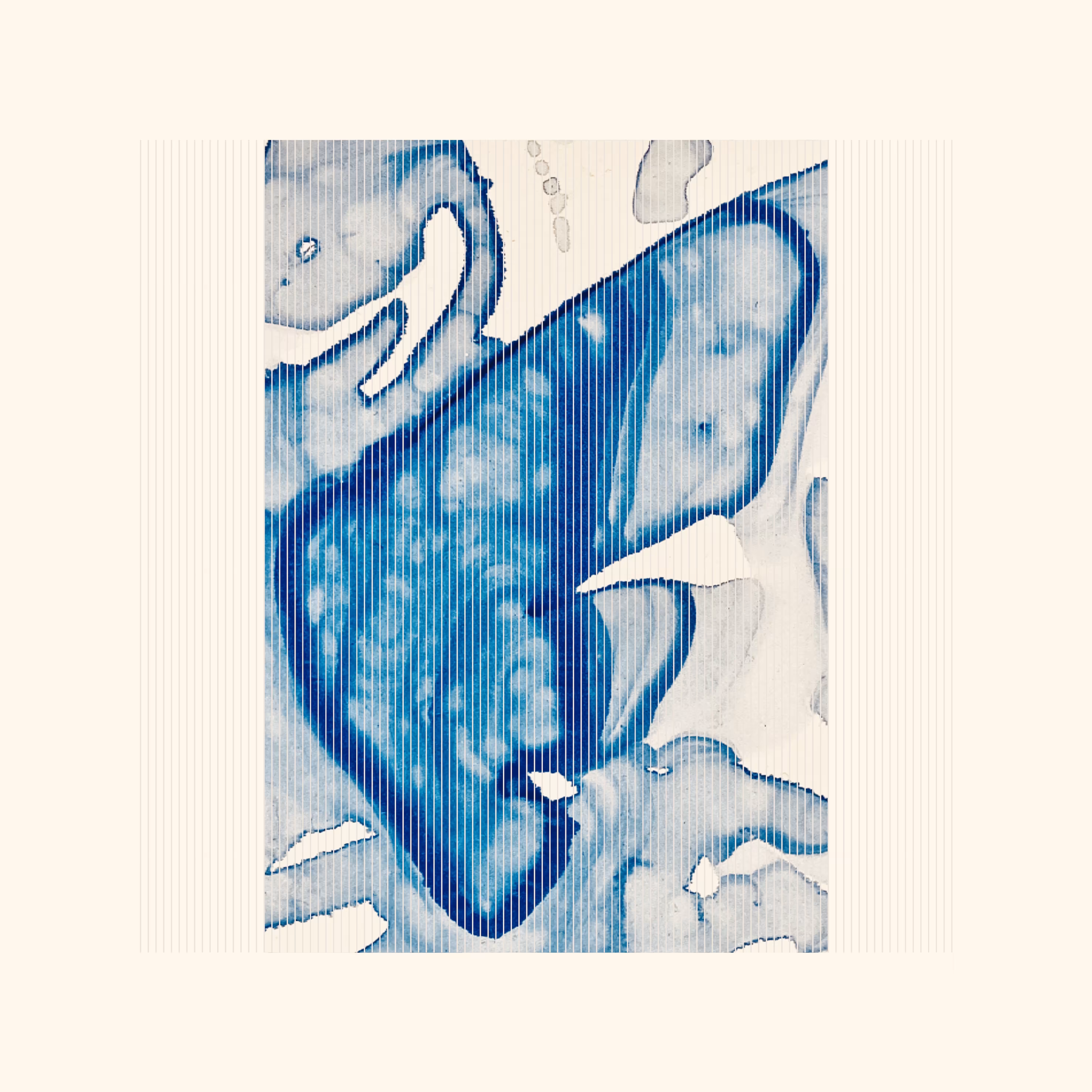 BP 034