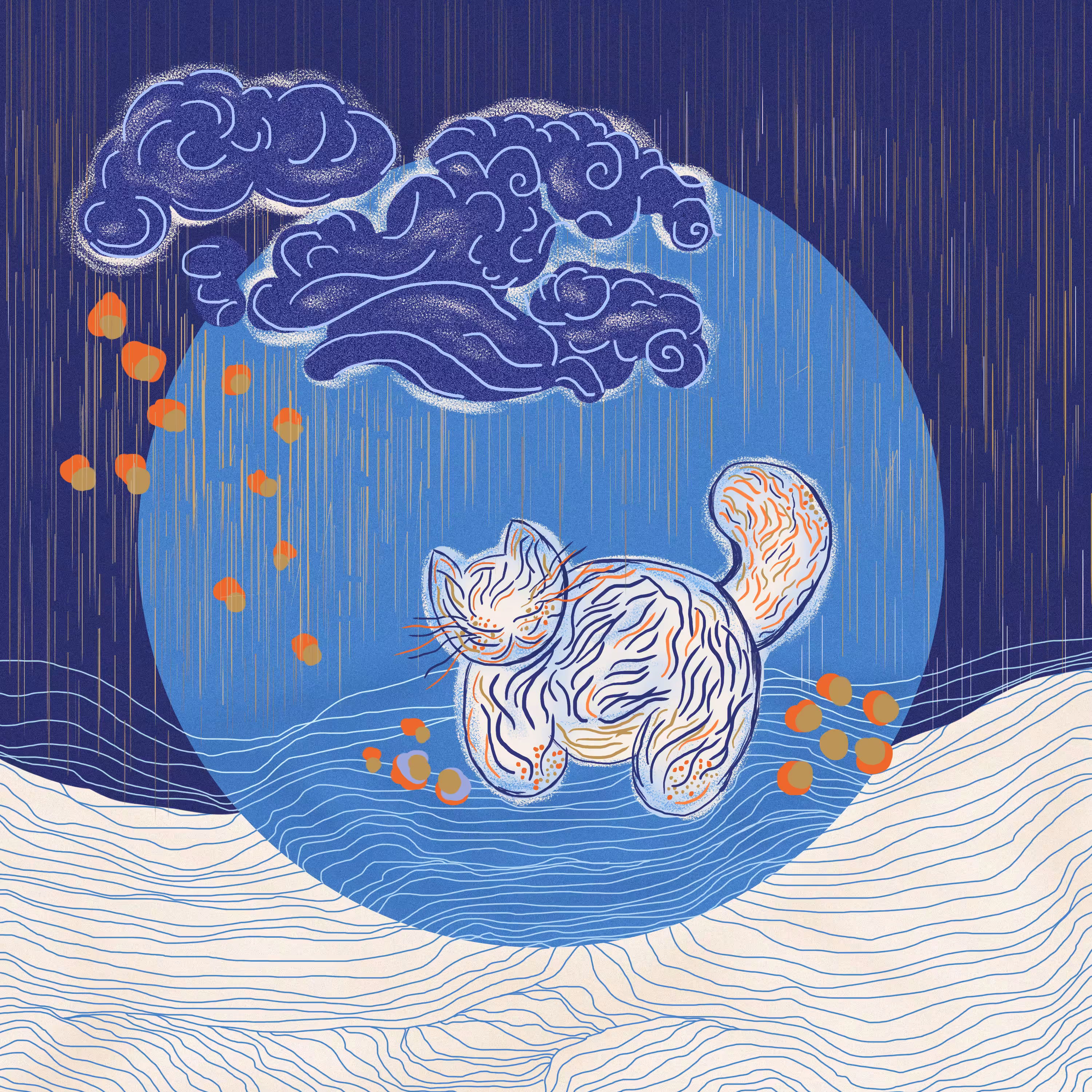 Cat in the rain