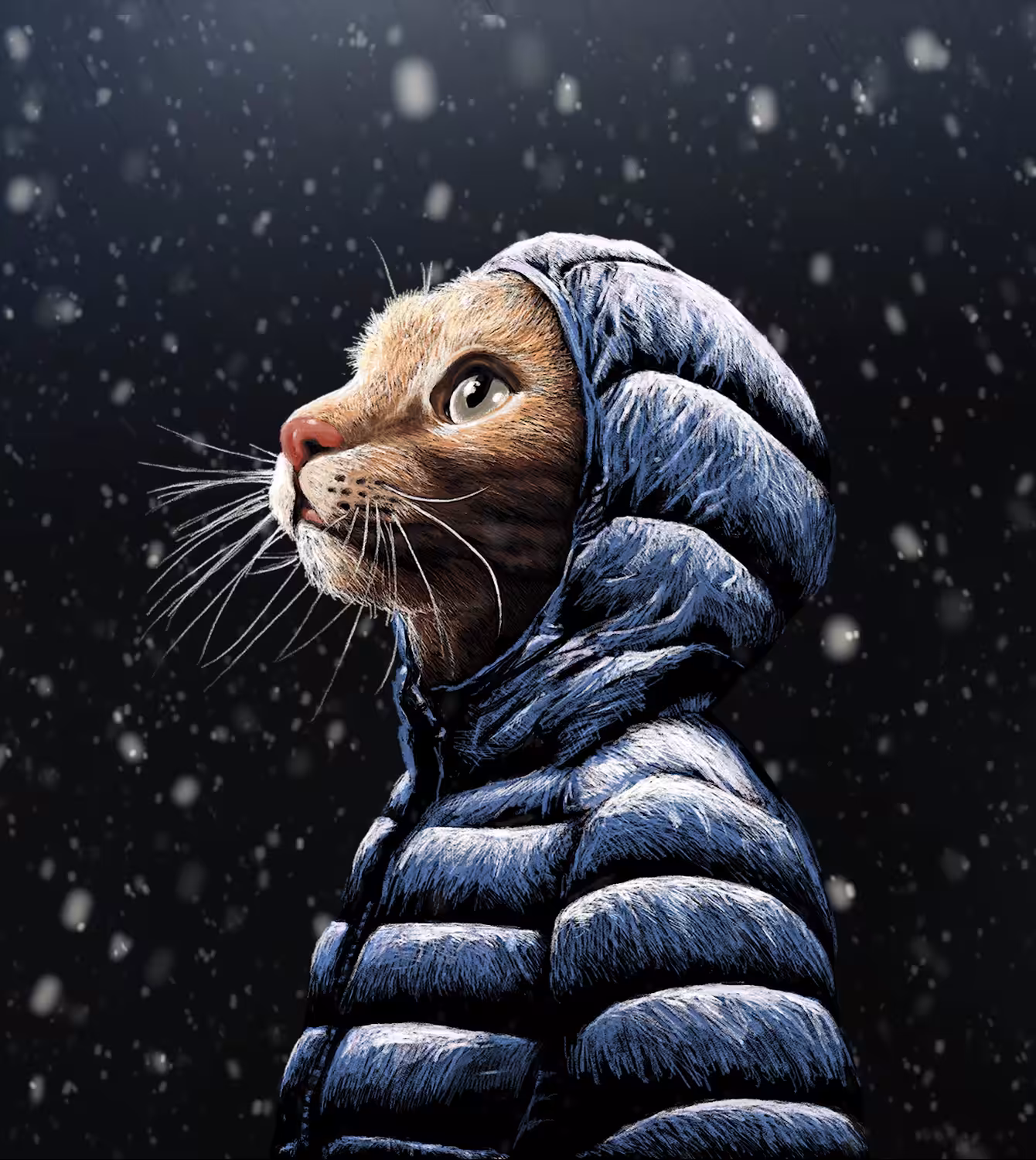 Cool Cat