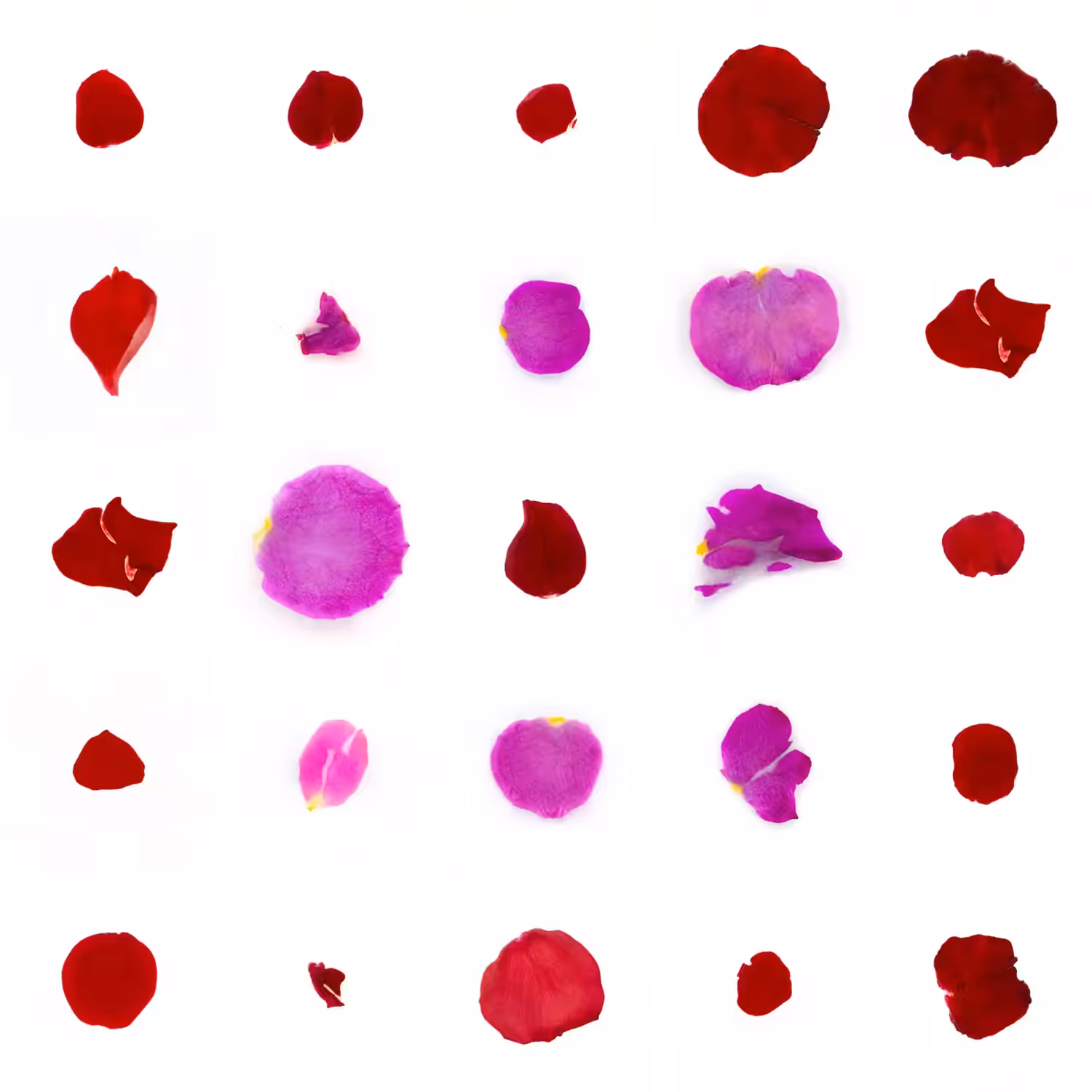 Infinite Petals 5x5#20324