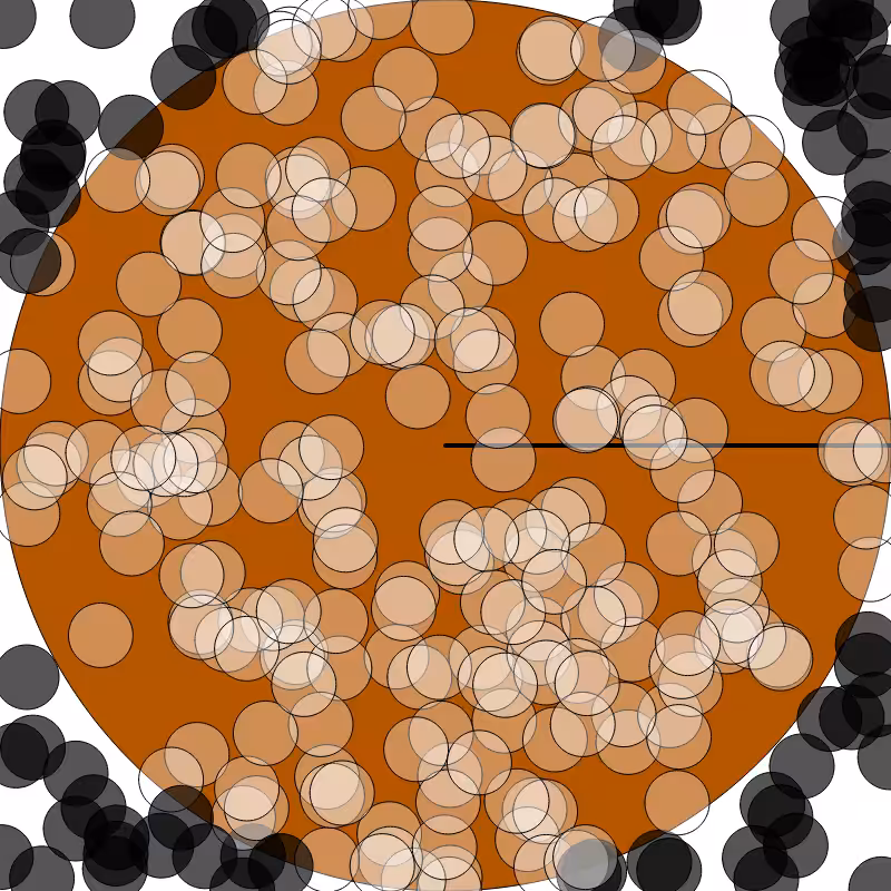 (π) #13