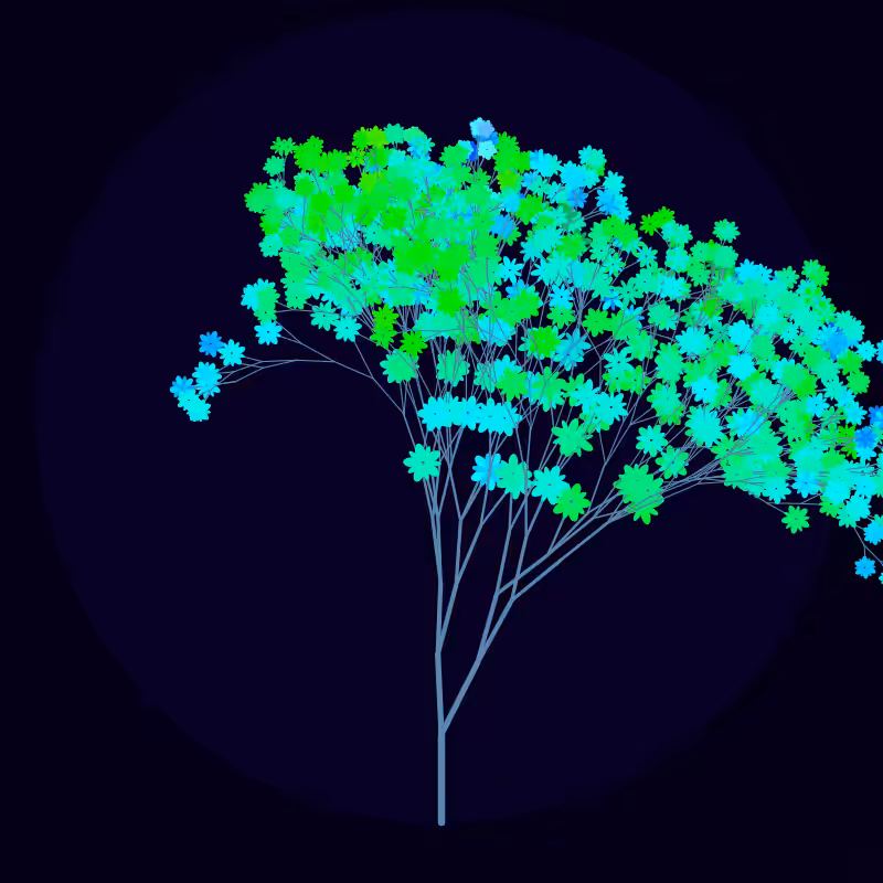 Arboreta #6
