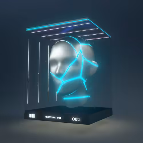 FRACTURE BOI - 005