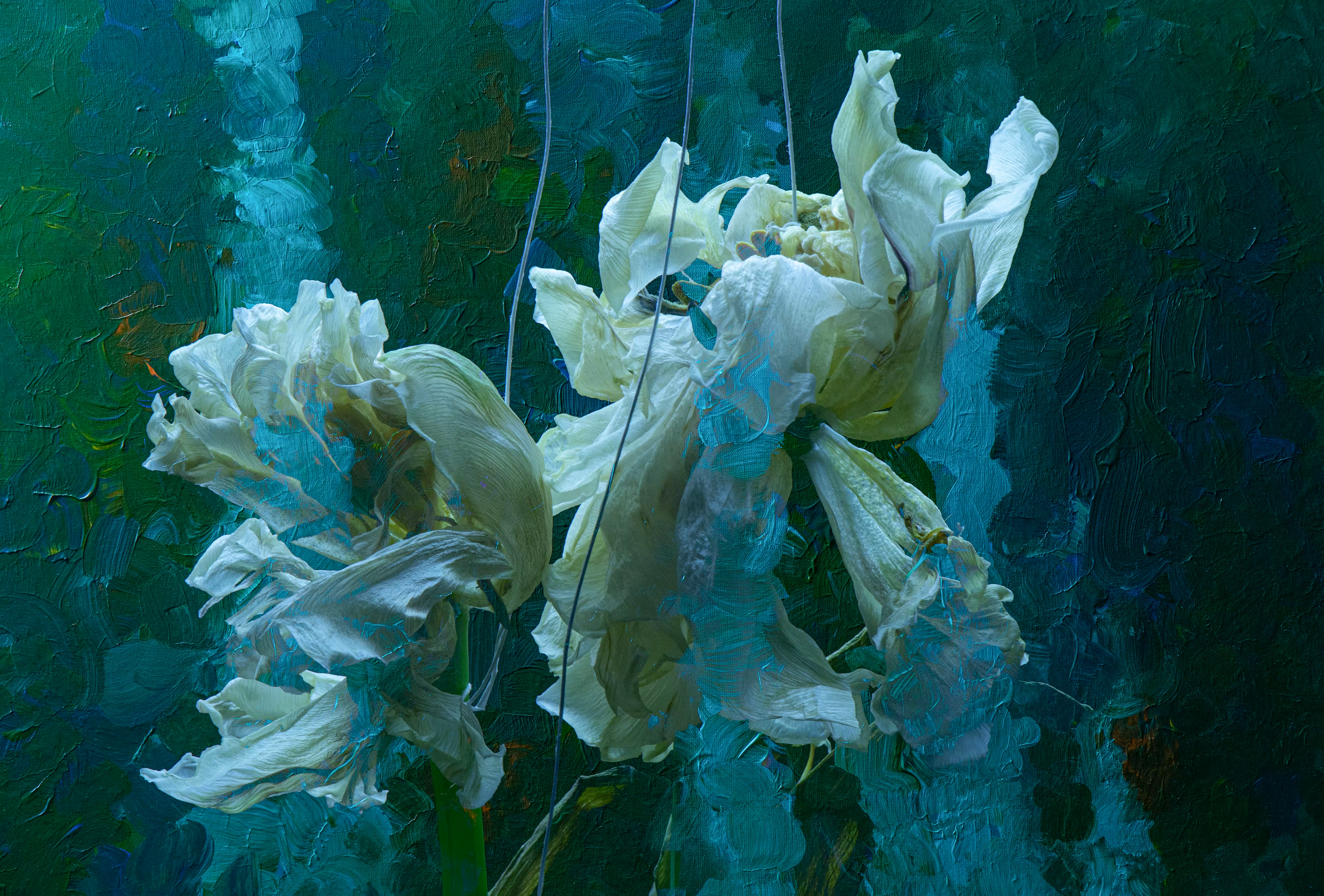 «IV. Metamorphosis»