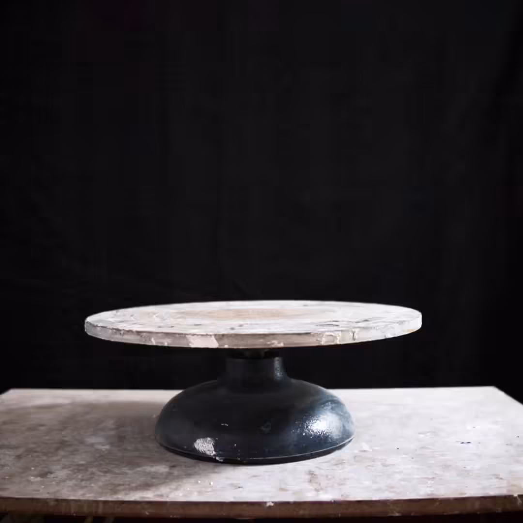 Non-Fungible Fungi / Video