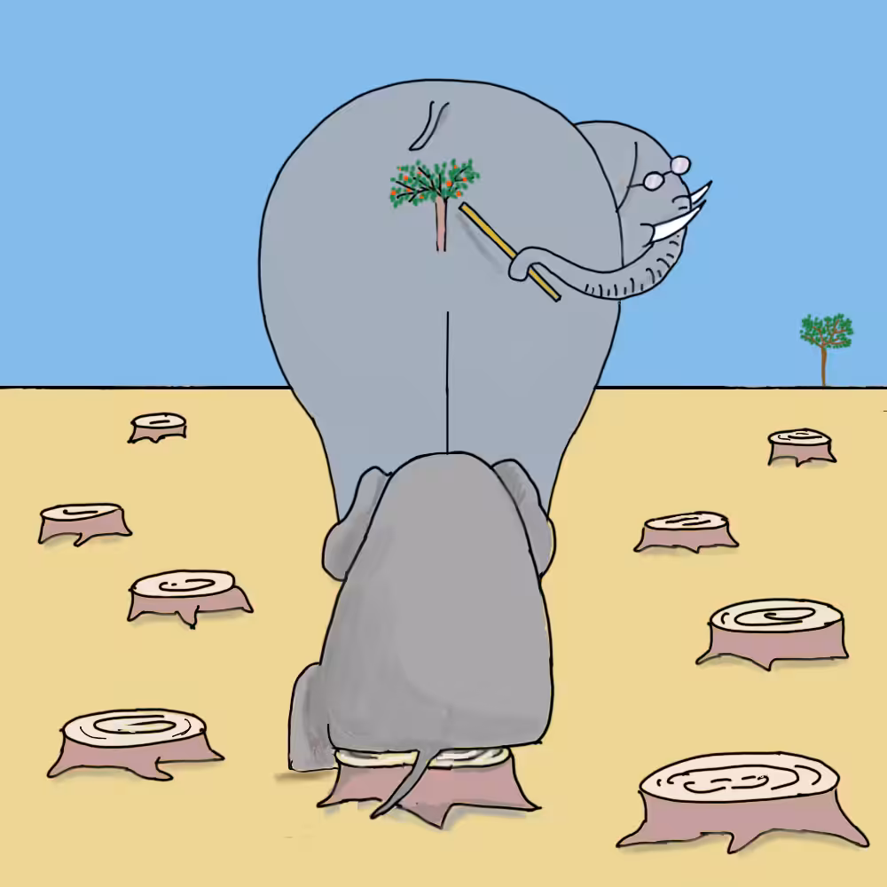 Elephant school #22