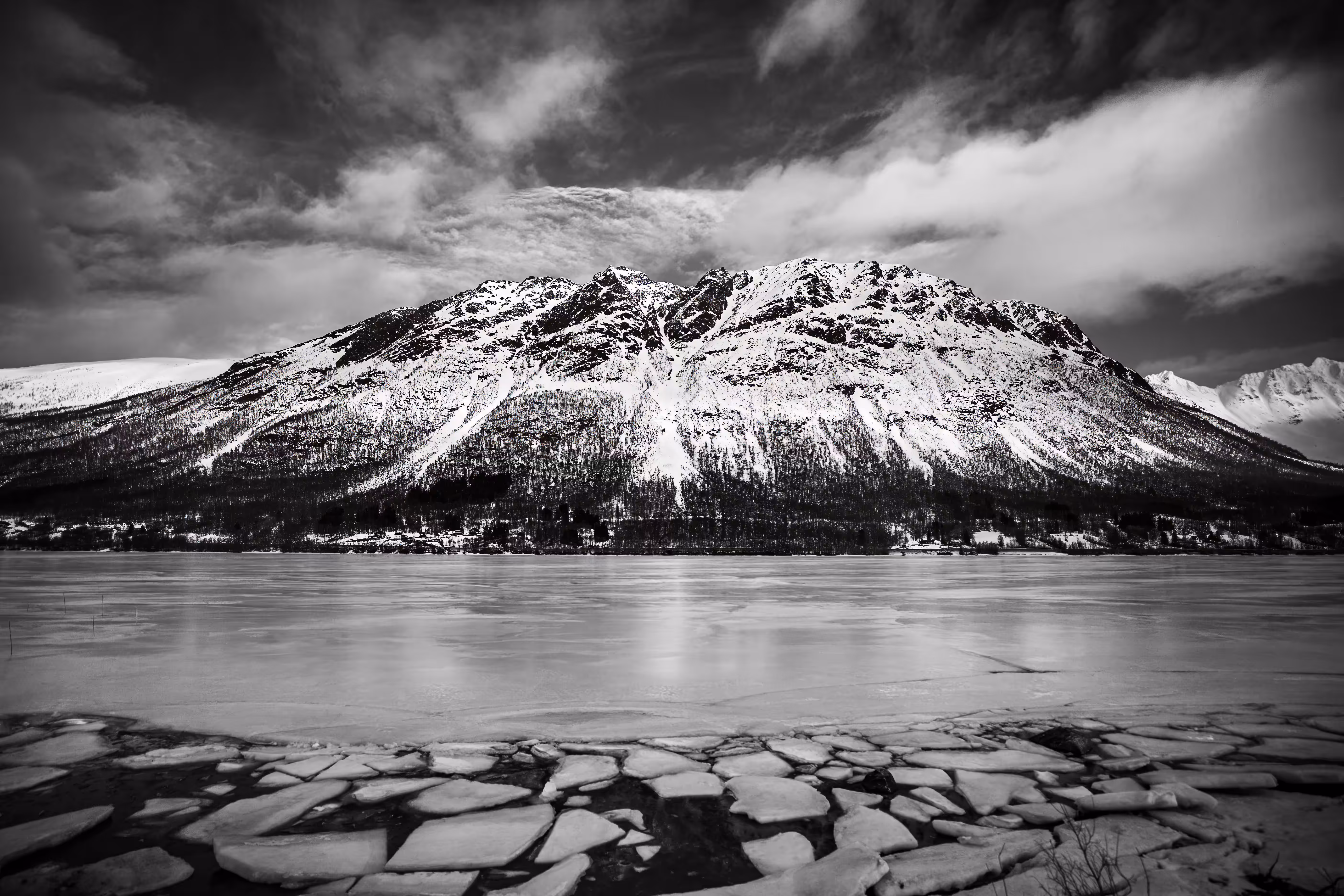 The Arctic's Script