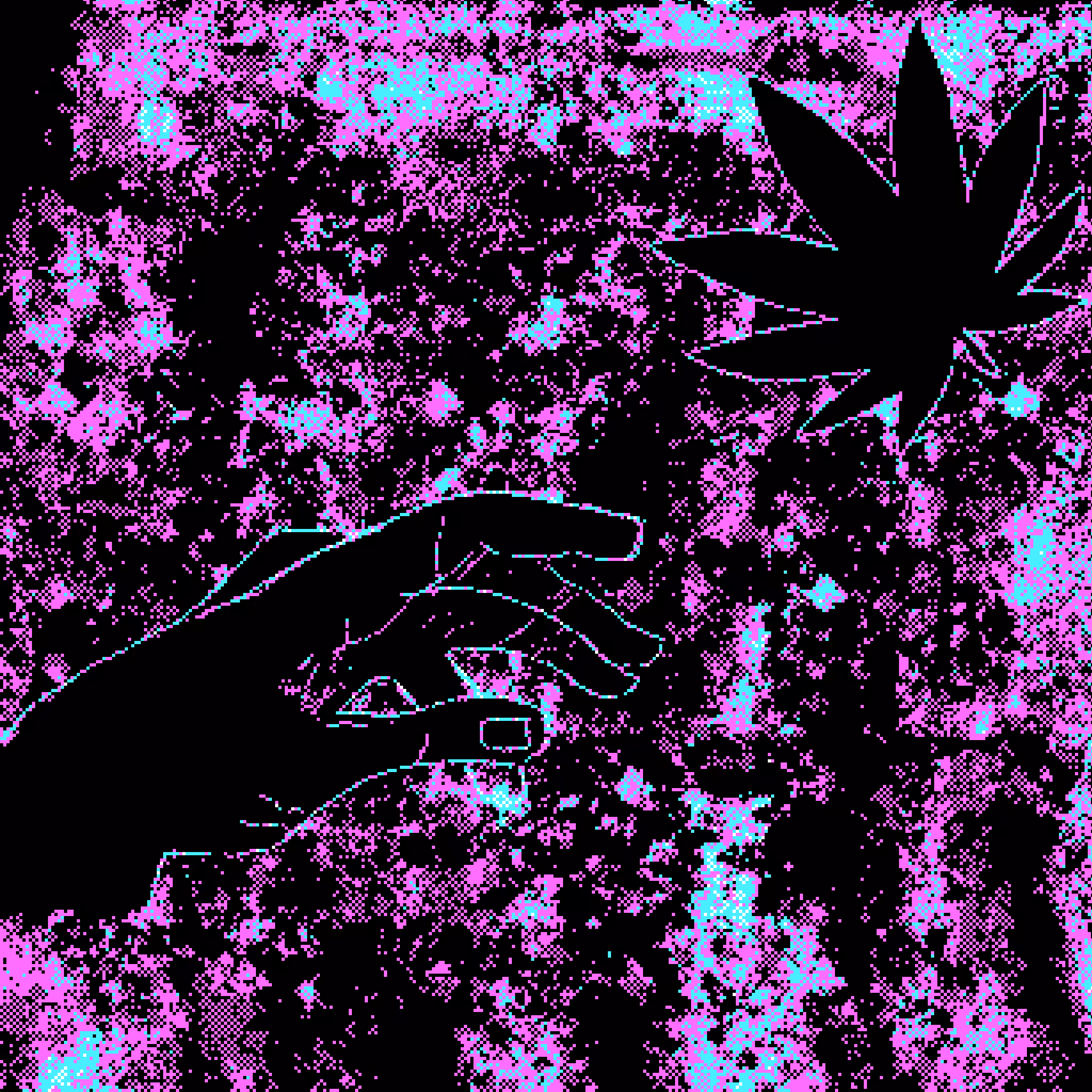 The Creation