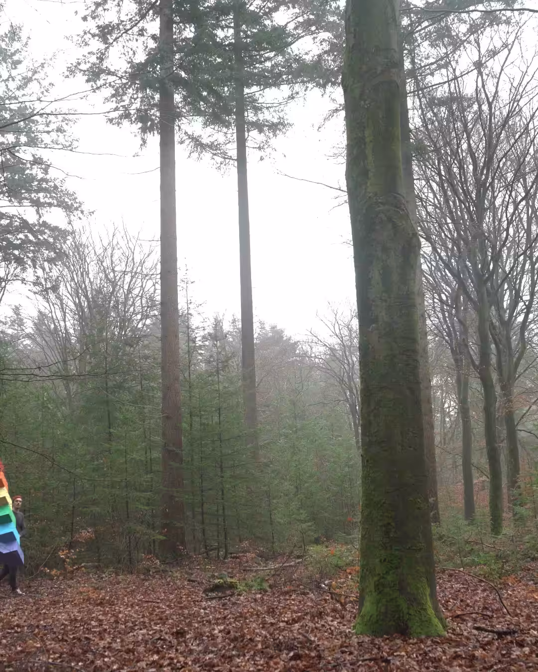 When skies are grey, draw Rainbows