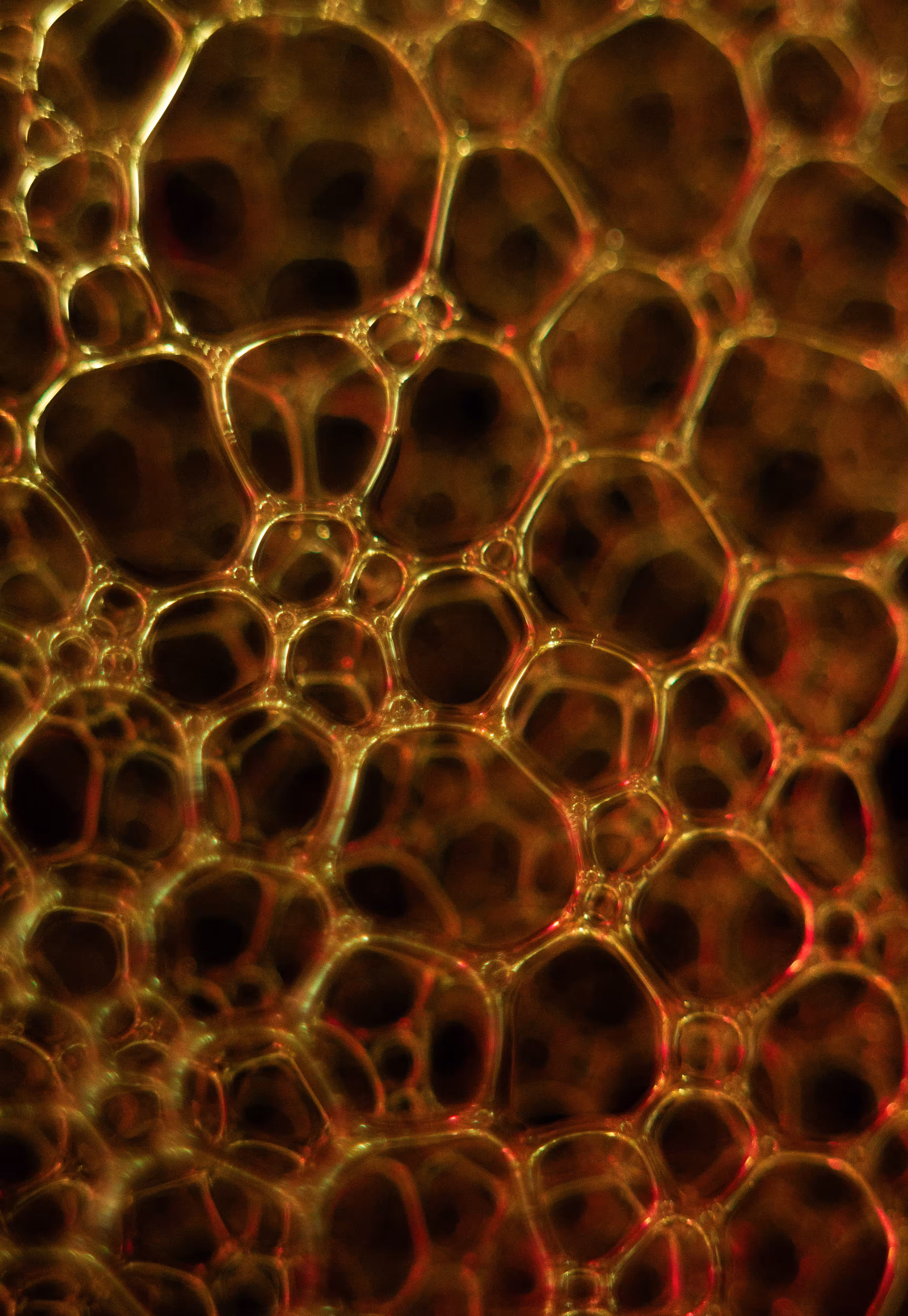 #232 Bubbles