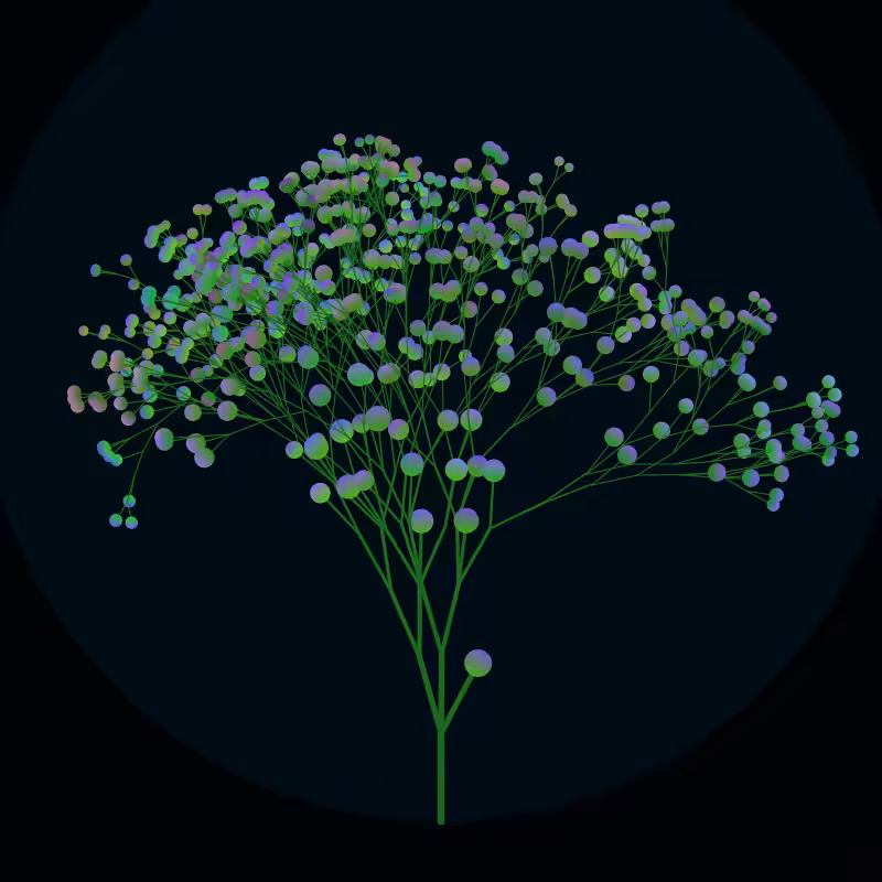 Arboreta #8
